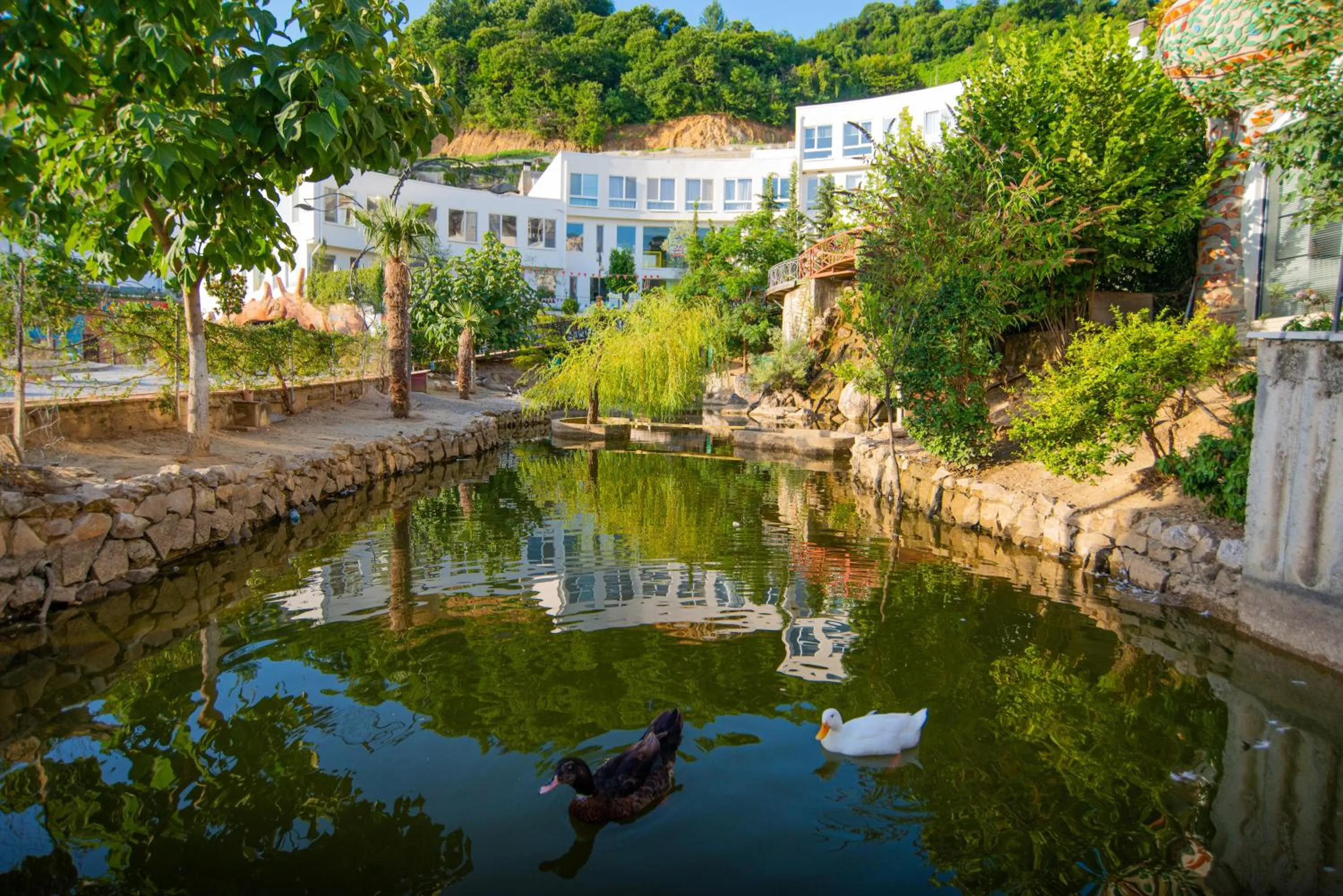 Natural landscape in Arka Art Hotel