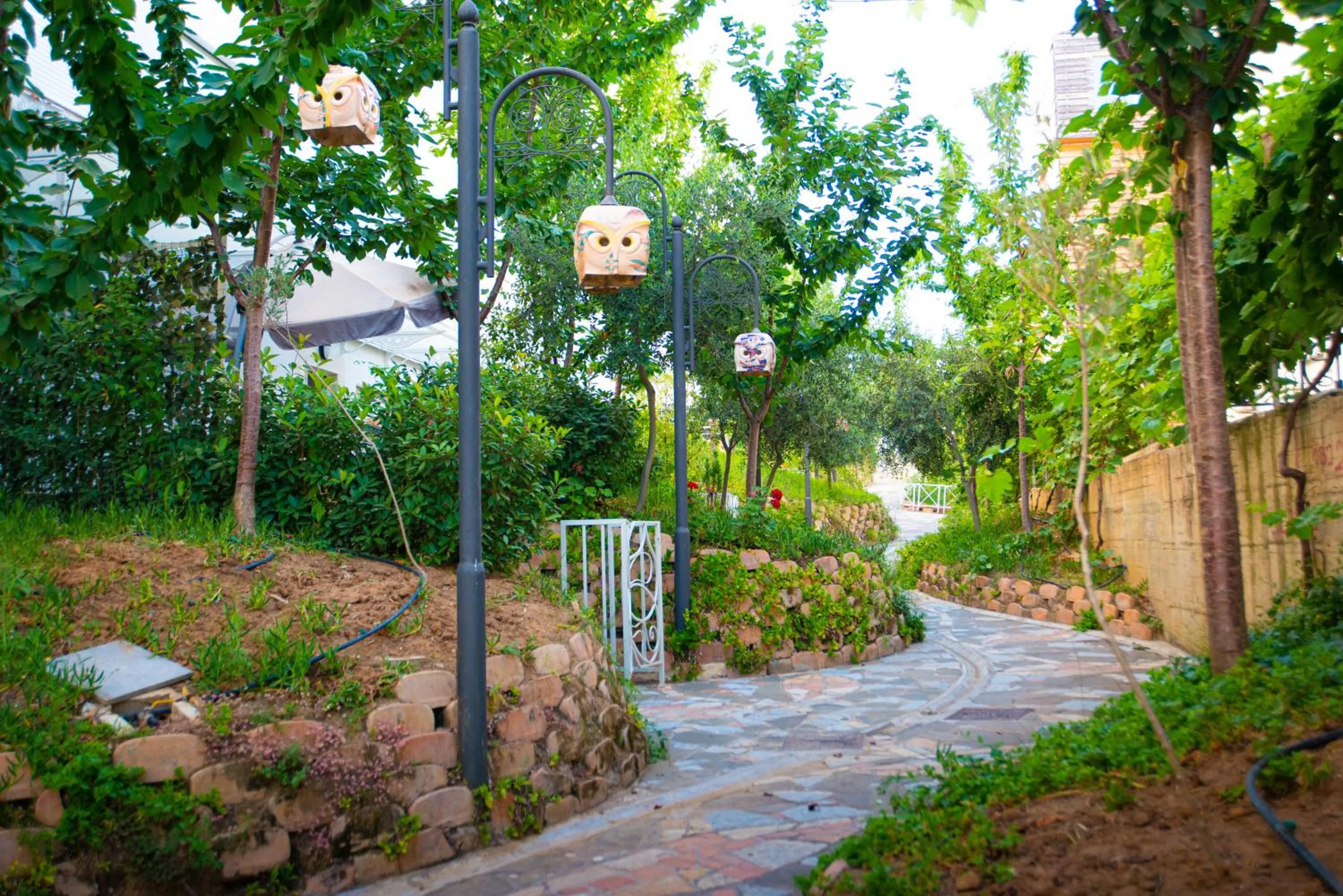 Natural landscape in Arka Art Hotel