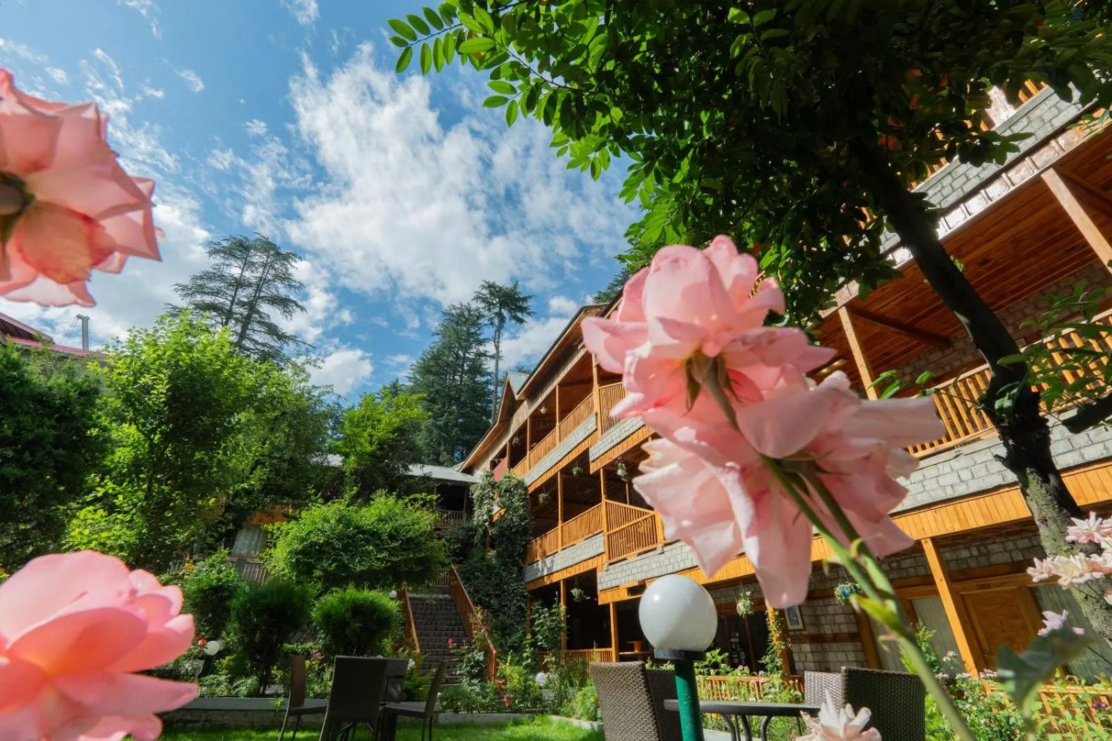 Property building in Hotel Negi's Mayflower A heritage Since 1965