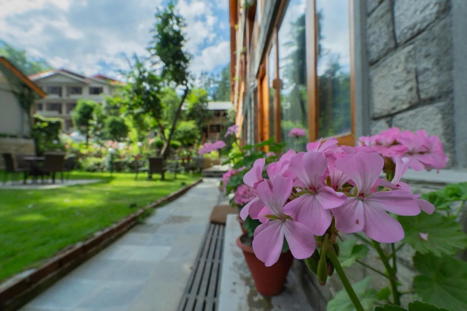 Garden view in Hotel Negi's Mayflower A heritage Since 1965