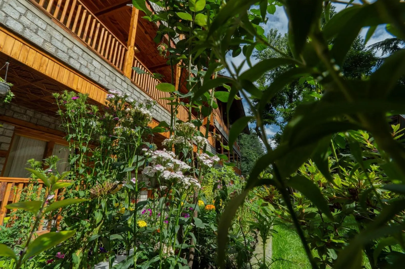 Day in Hotel Negi's Mayflower A heritage Since 1965