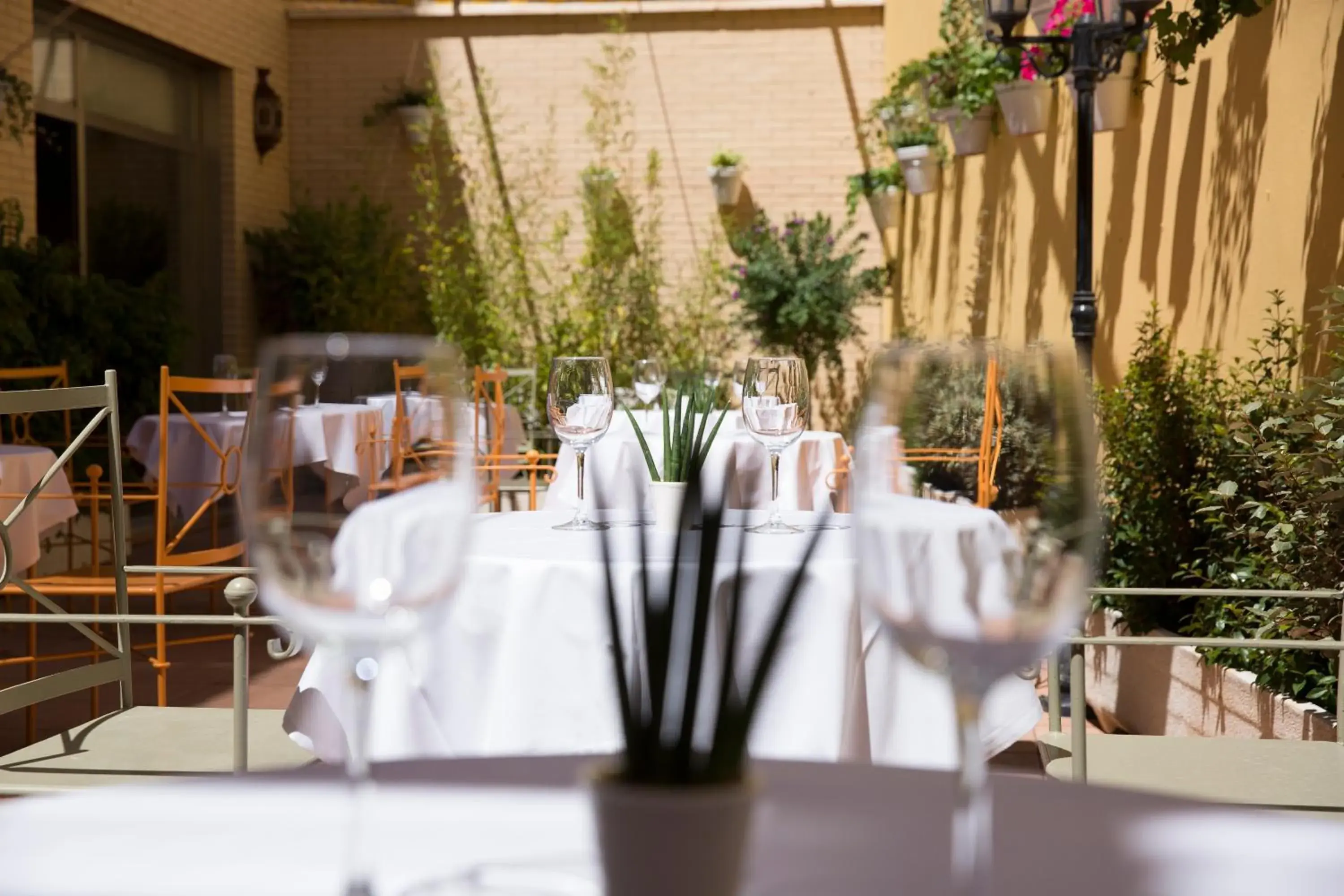 Restaurant/places to eat in Avenida Hotel Restaurant/places to eat in Avenida Hotel