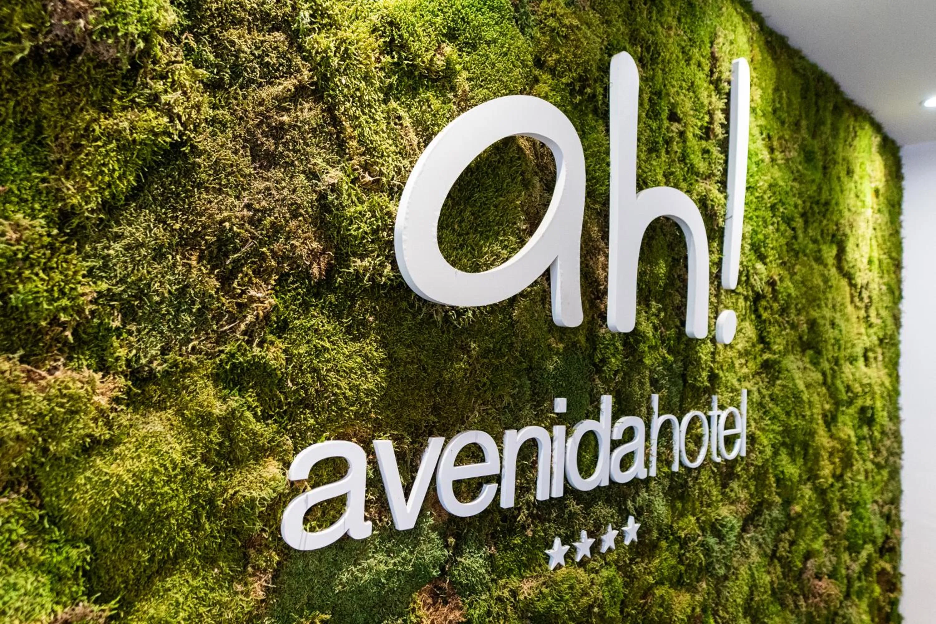 Avenida Hotel
