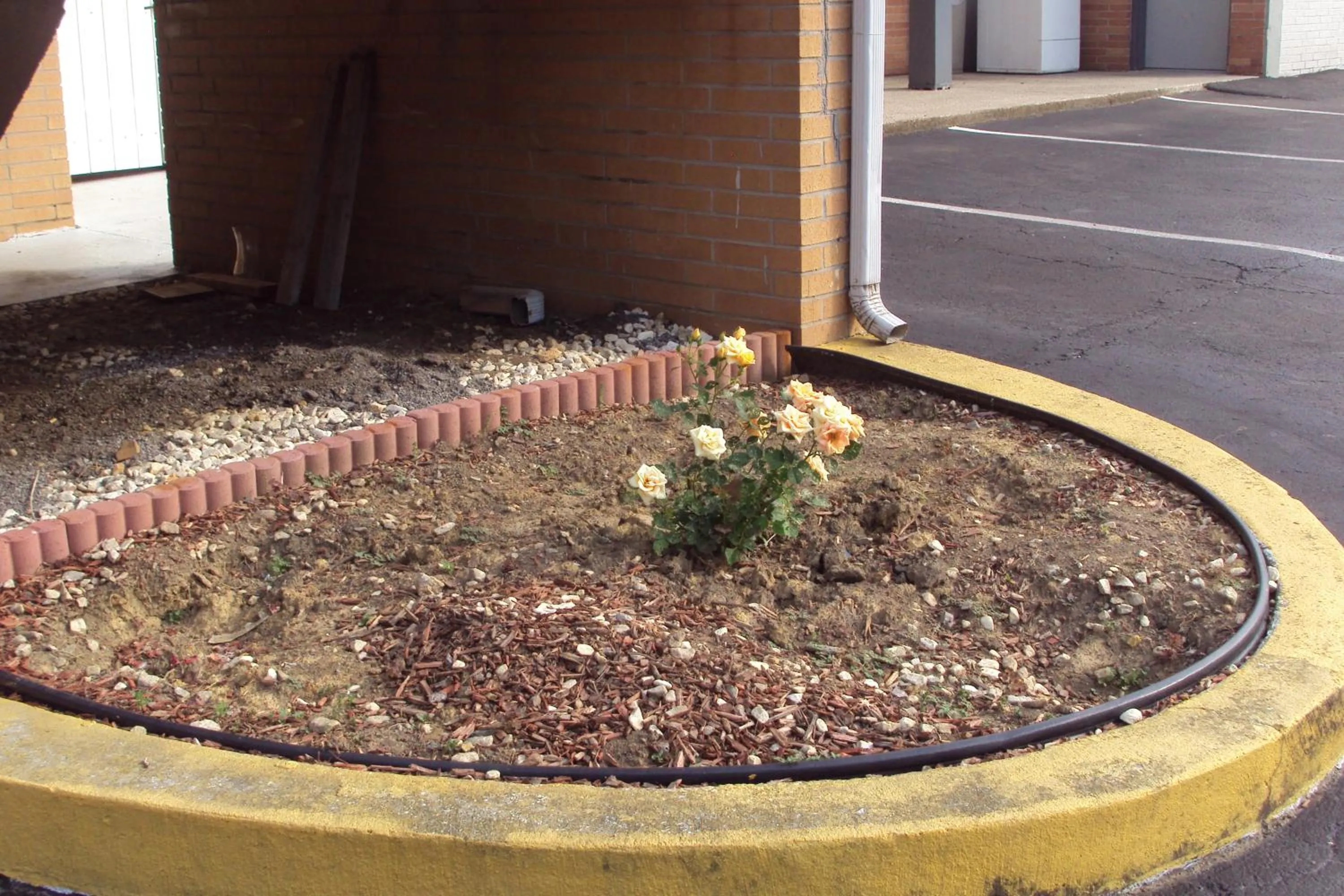 Property building in Executive Inn