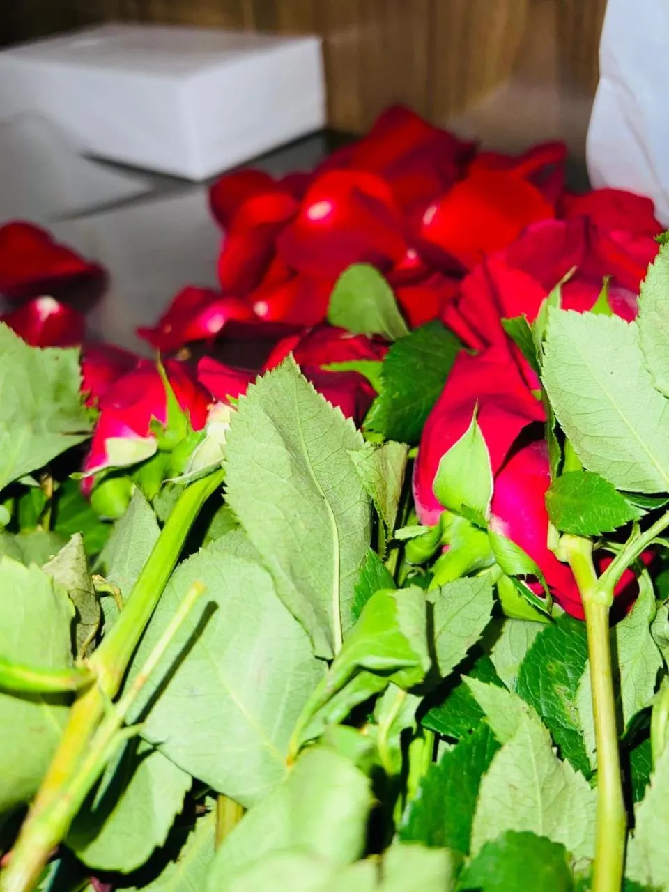 Garden in Sarwat Park Hotel Jeddah