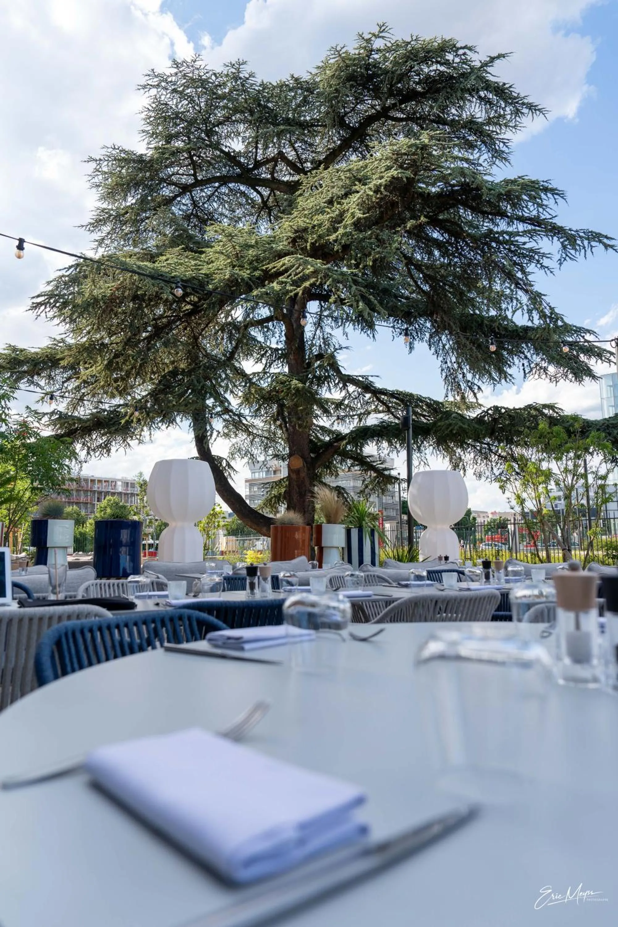 Garden in The Ruck Hotel