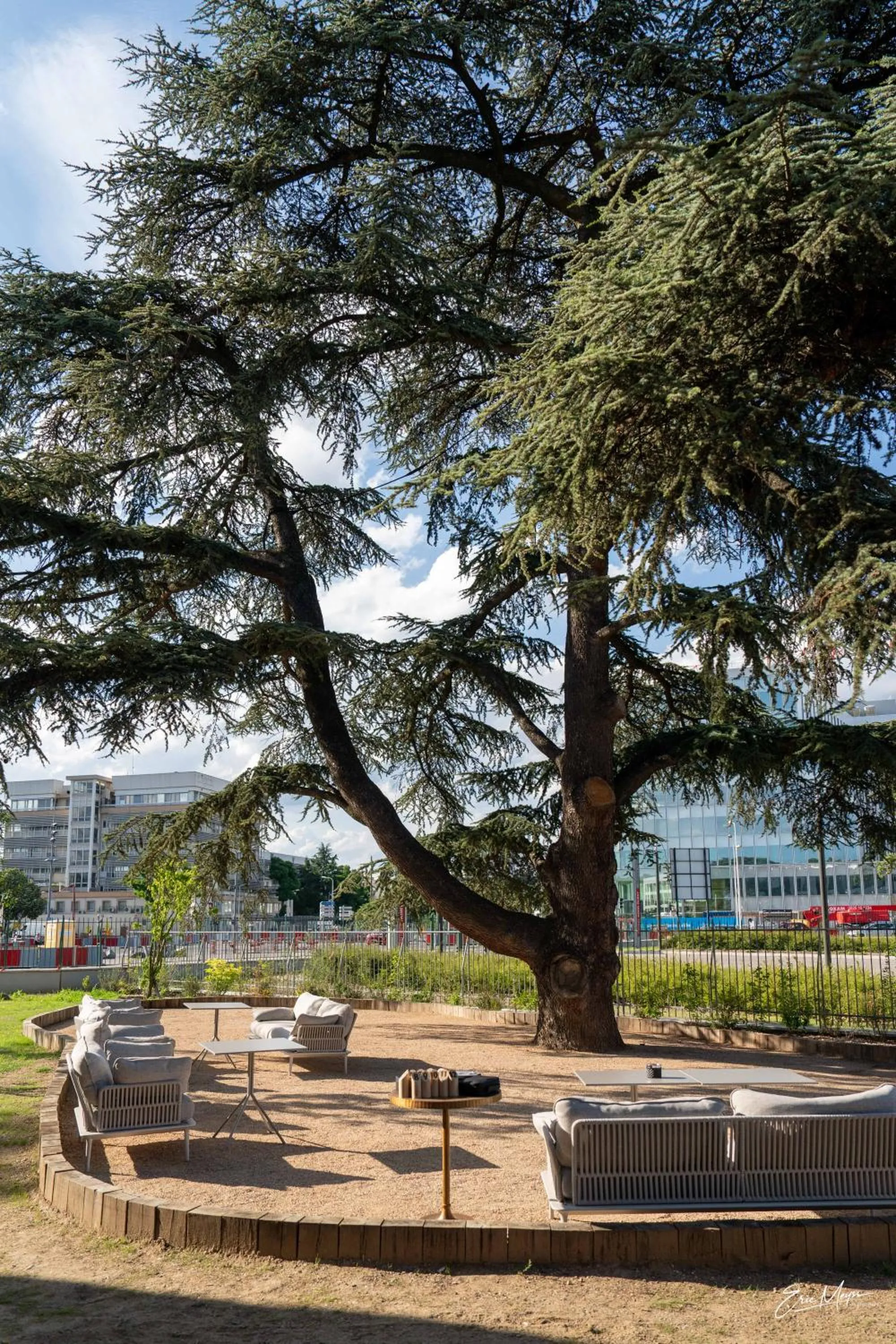 Garden in The Ruck Hotel