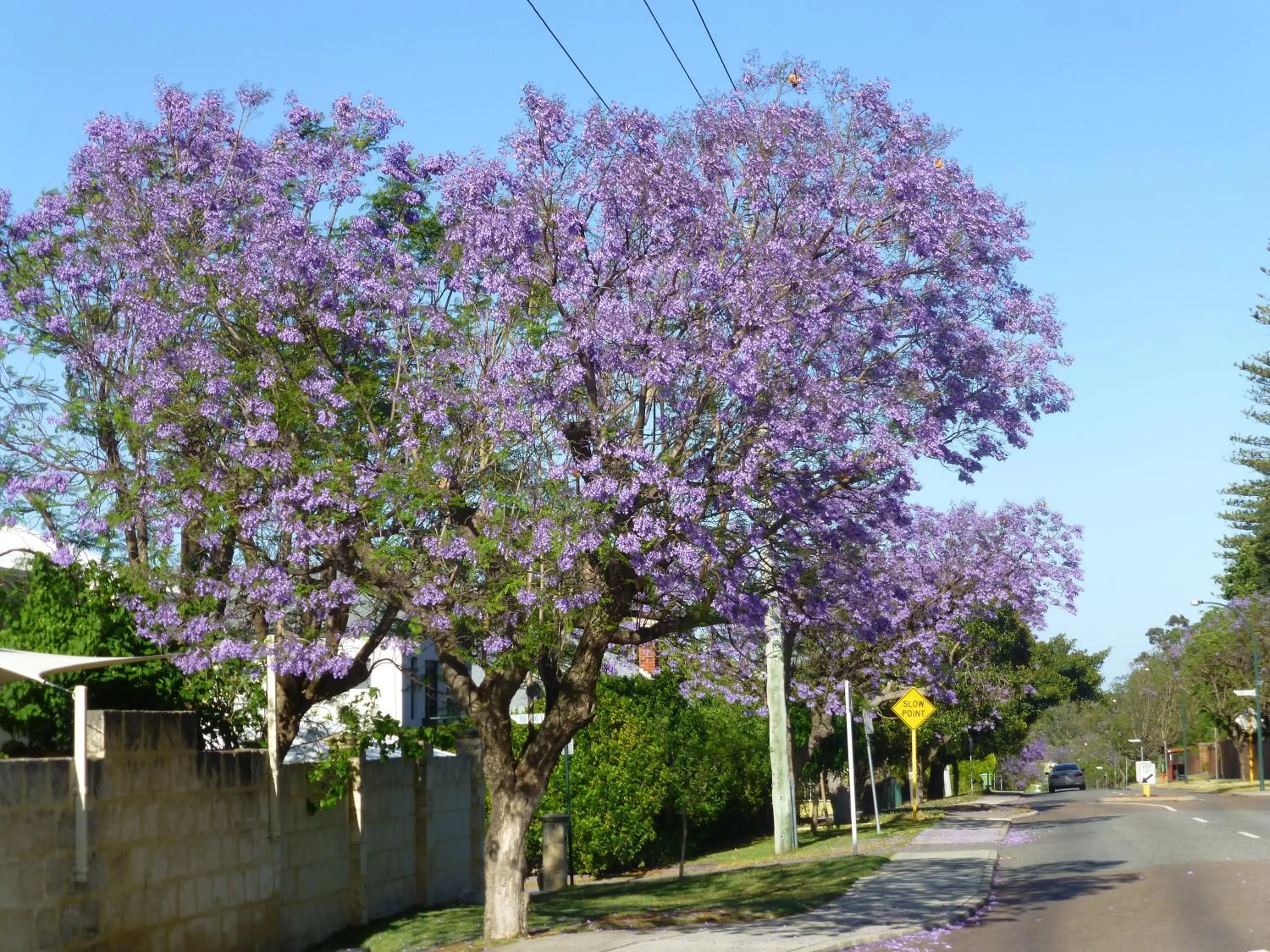Day in Lakeside Bed & Breakfast