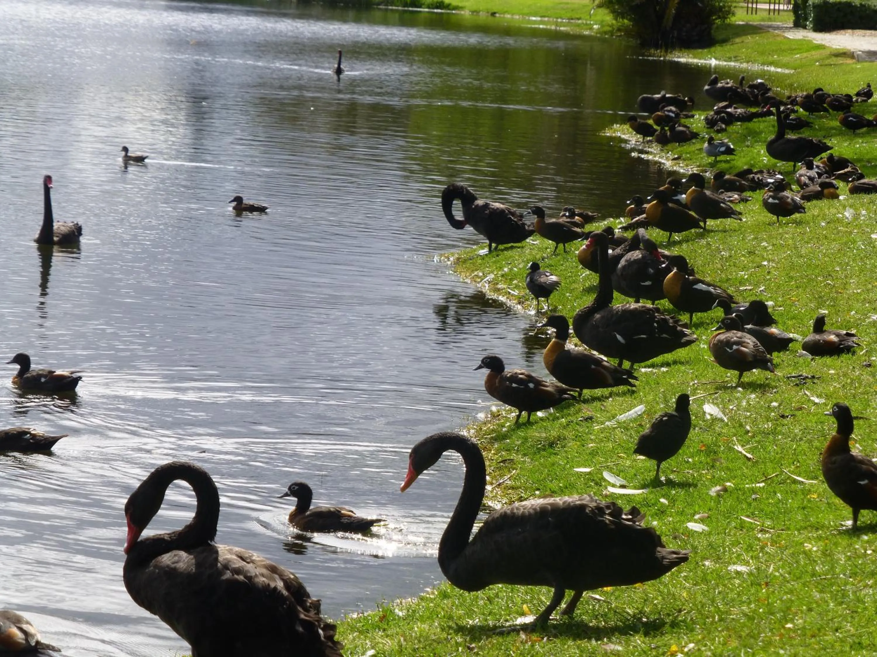 Area and facilities in Lakeside Bed & Breakfast