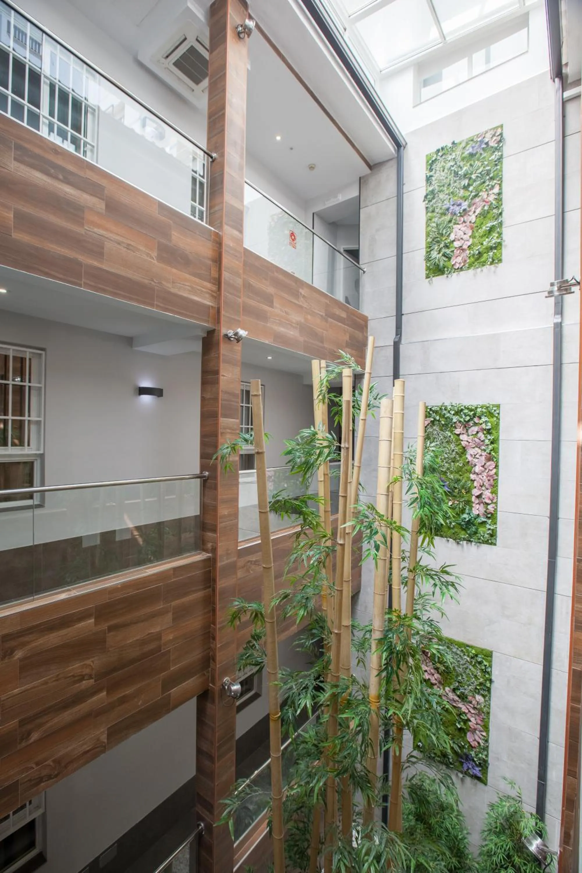 Patio in Hotel Don Paco