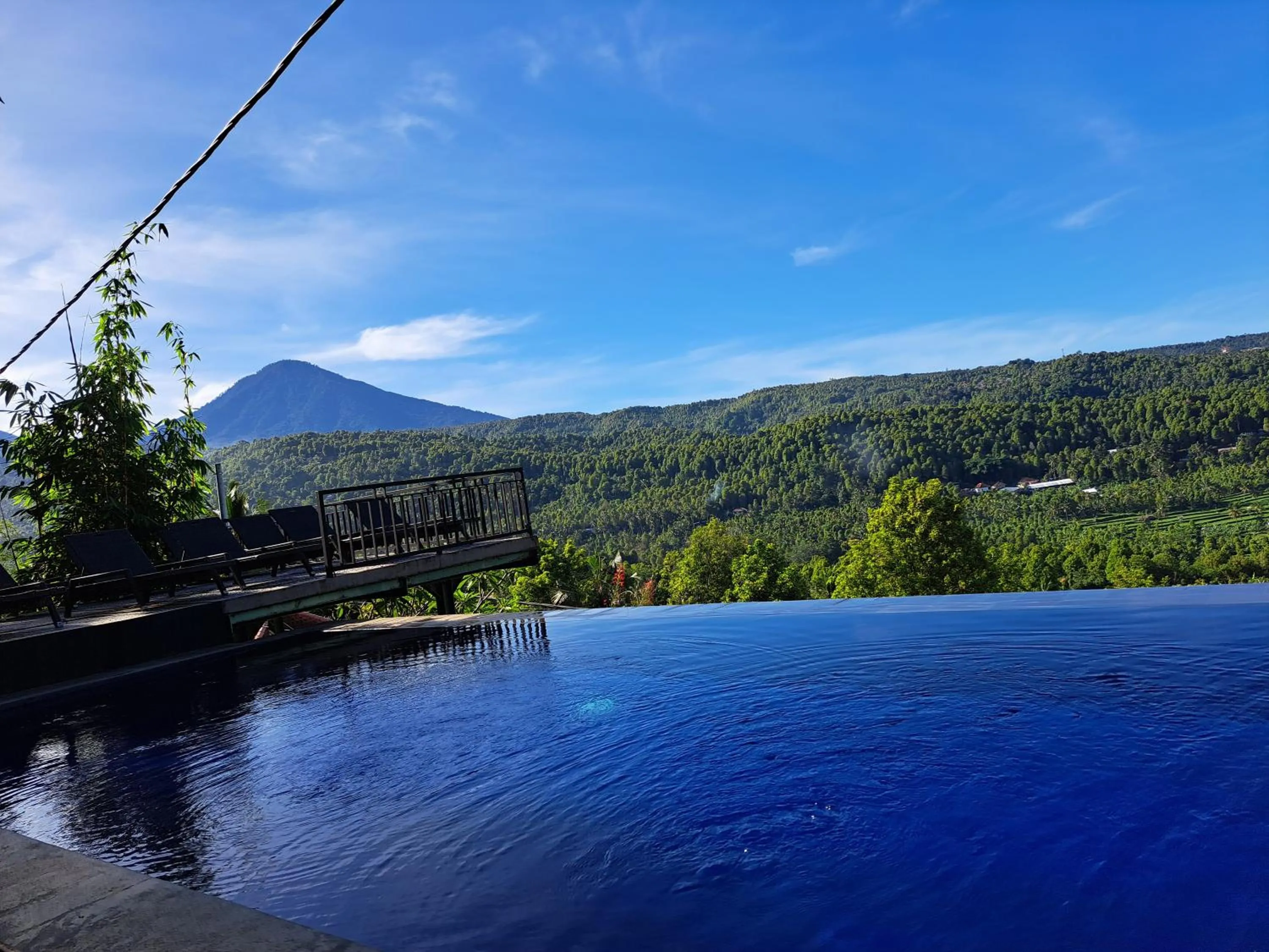 Pool view in Bali Rahayu Homestay