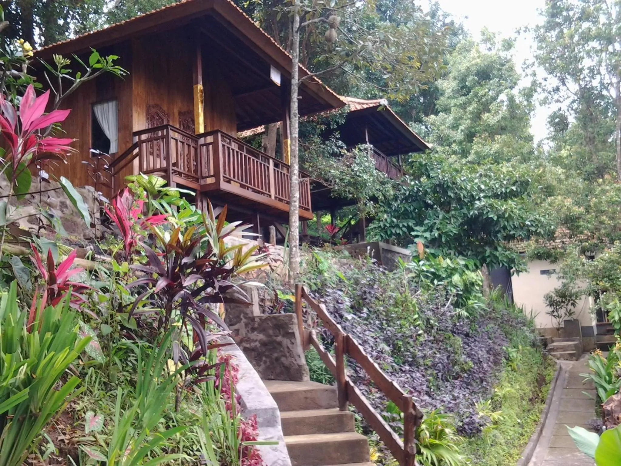 Garden in Bali Rahayu Homestay