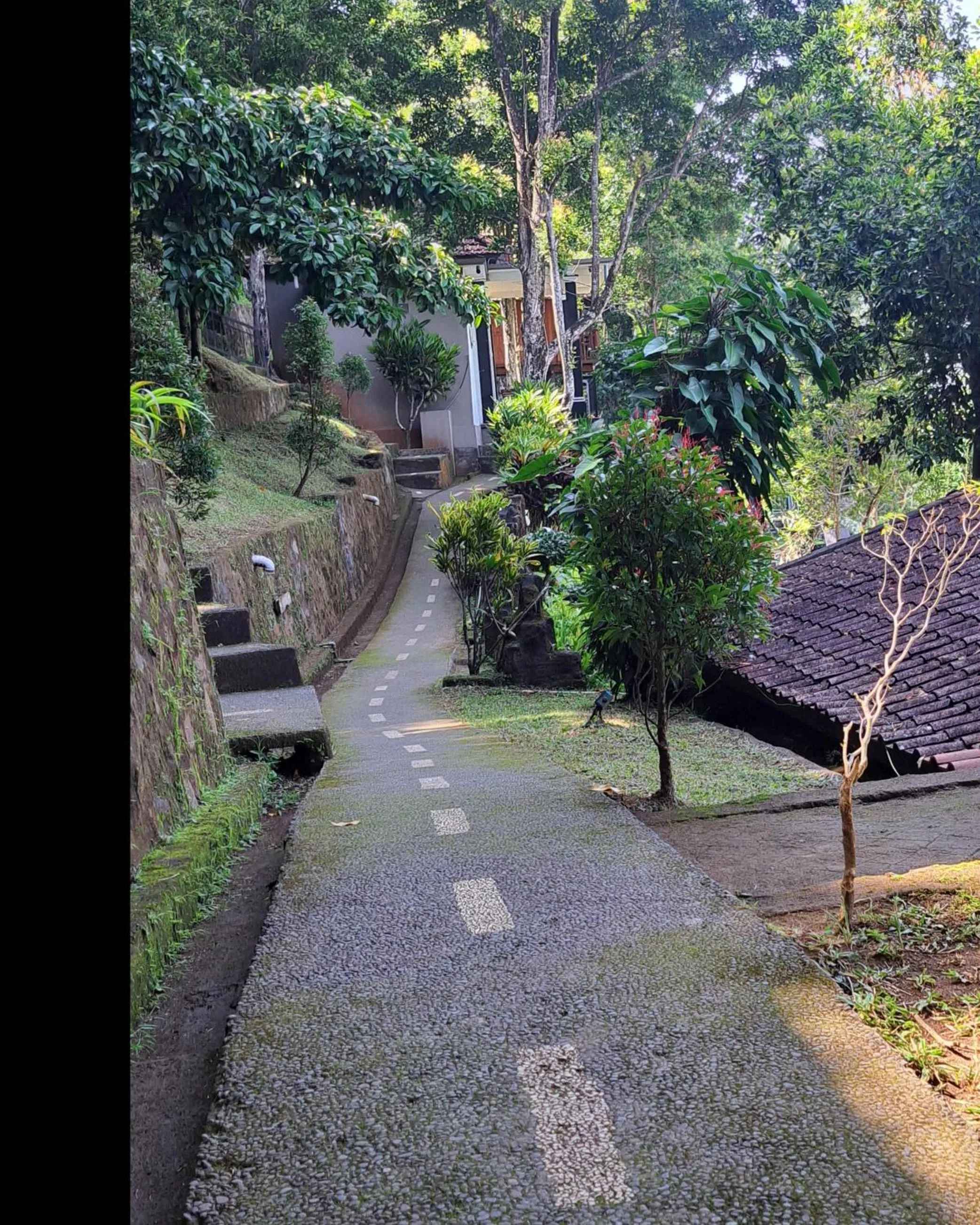 Day in Bali Rahayu Homestay
