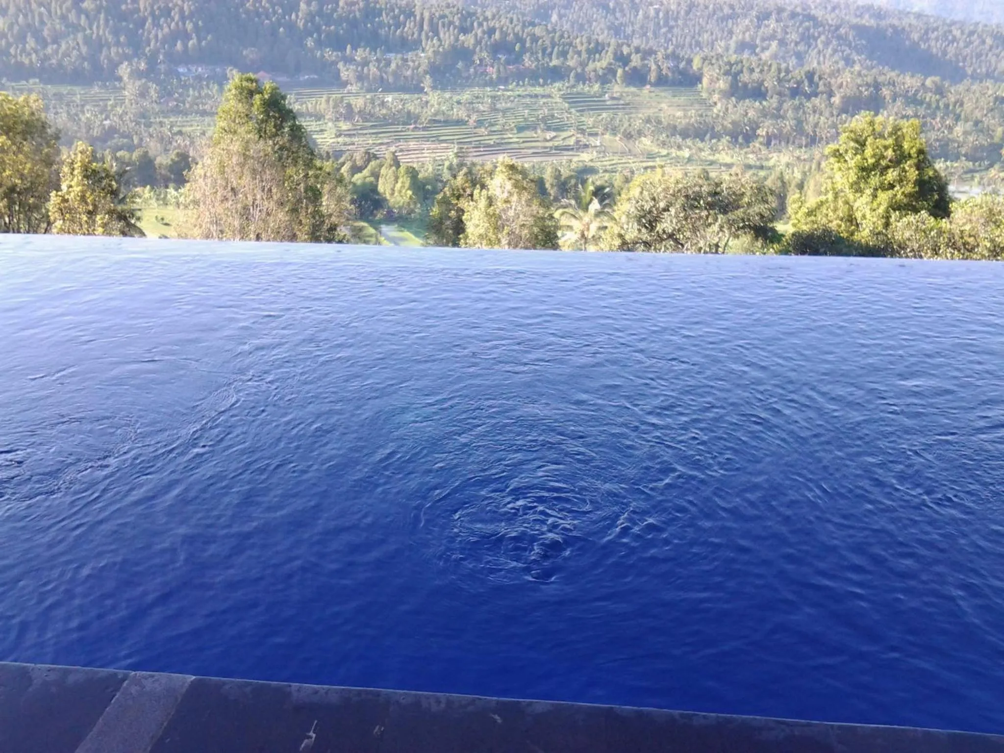 Swimming pool in Bali Rahayu Homestay
