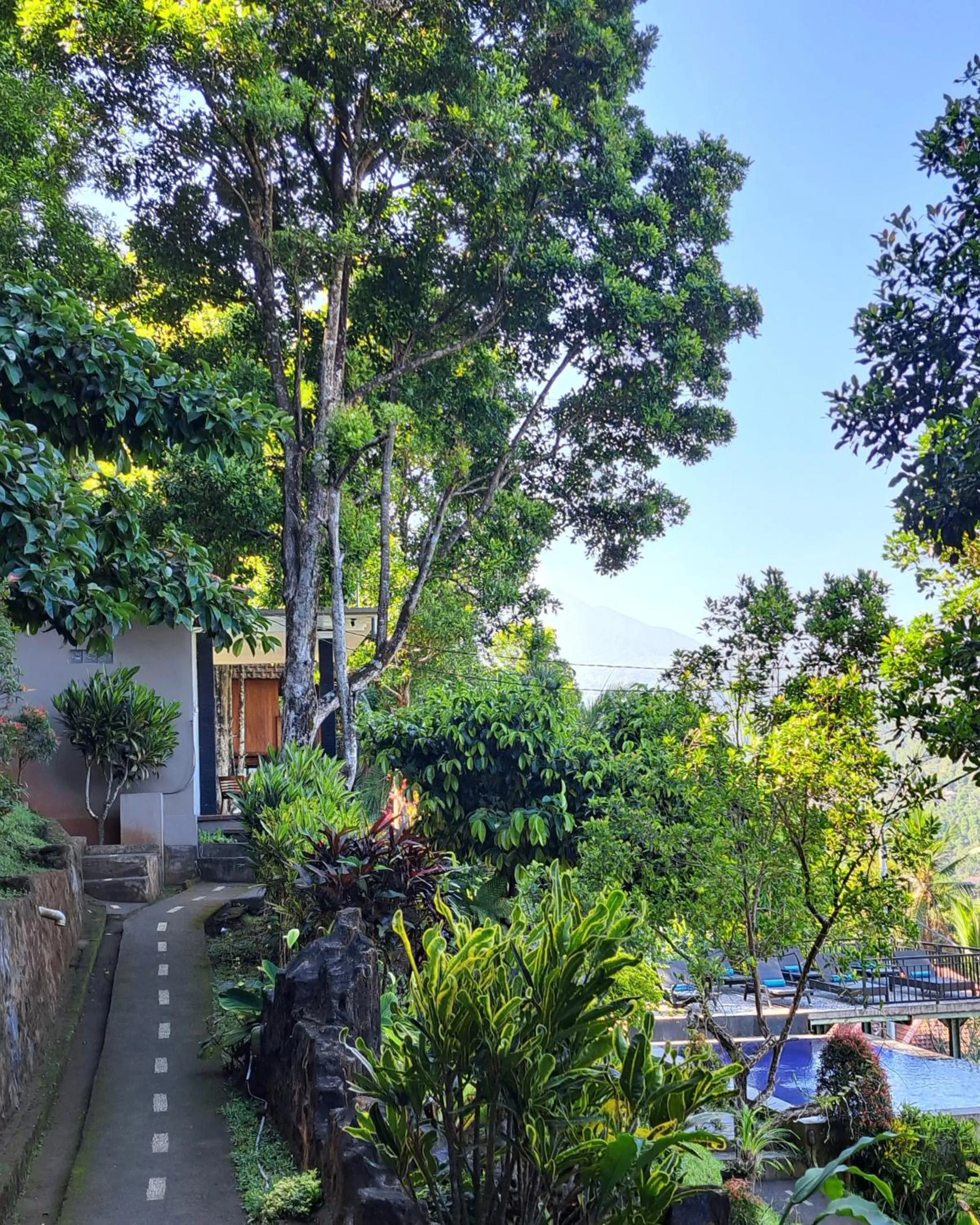 Natural landscape in Bali Rahayu Homestay