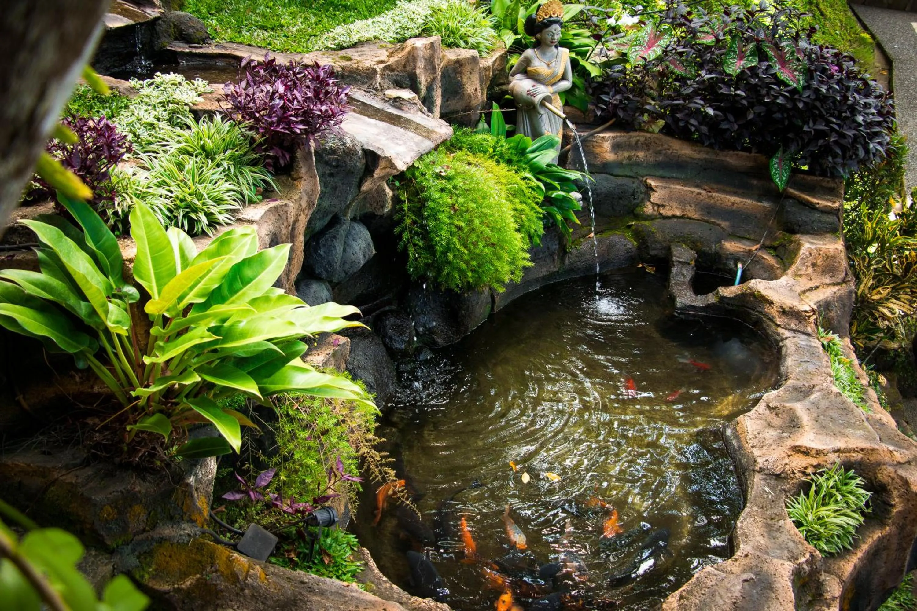 Garden view in Bali Rahayu Homestay