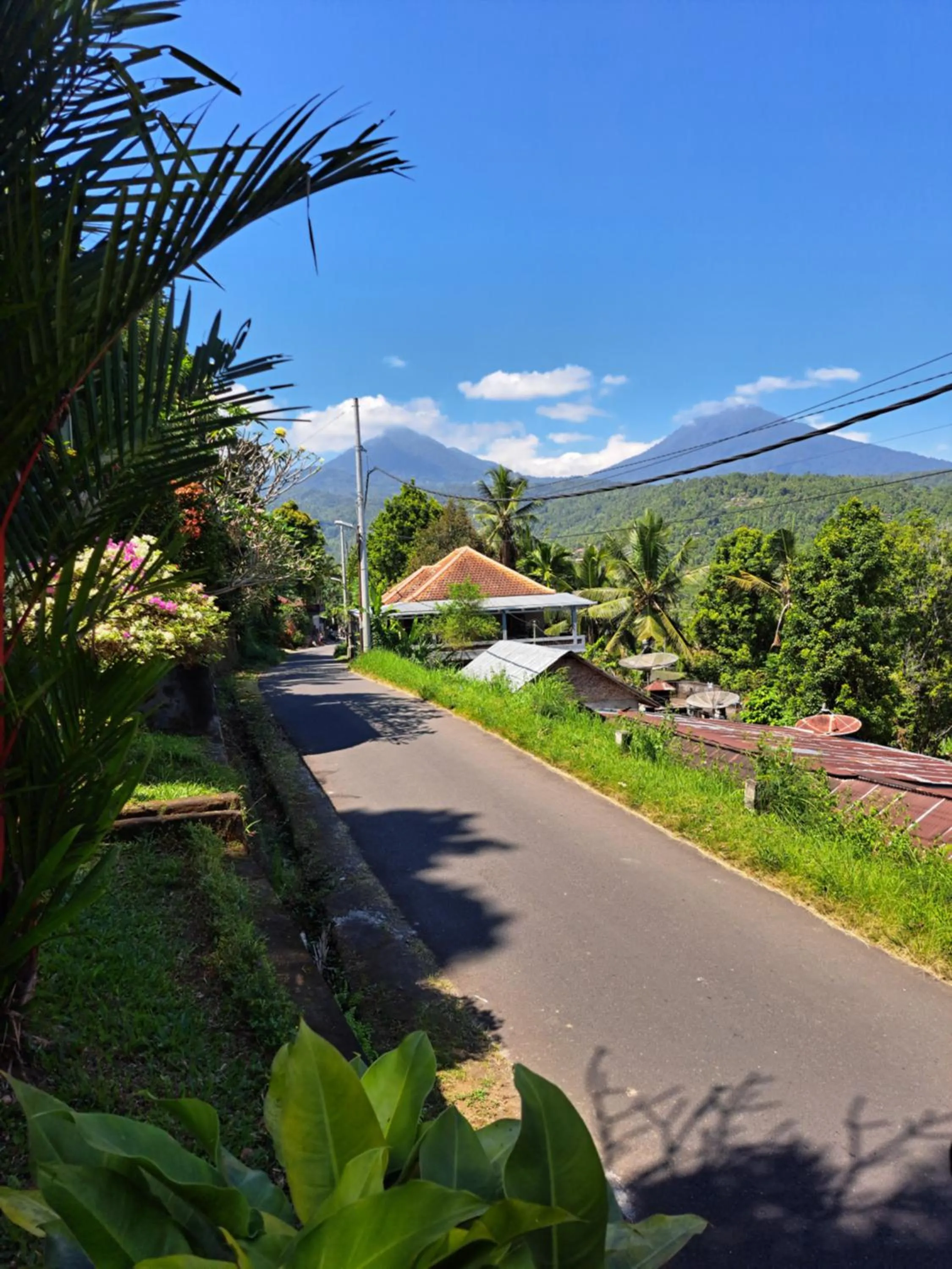 Natural landscape in Bali Rahayu Homestay