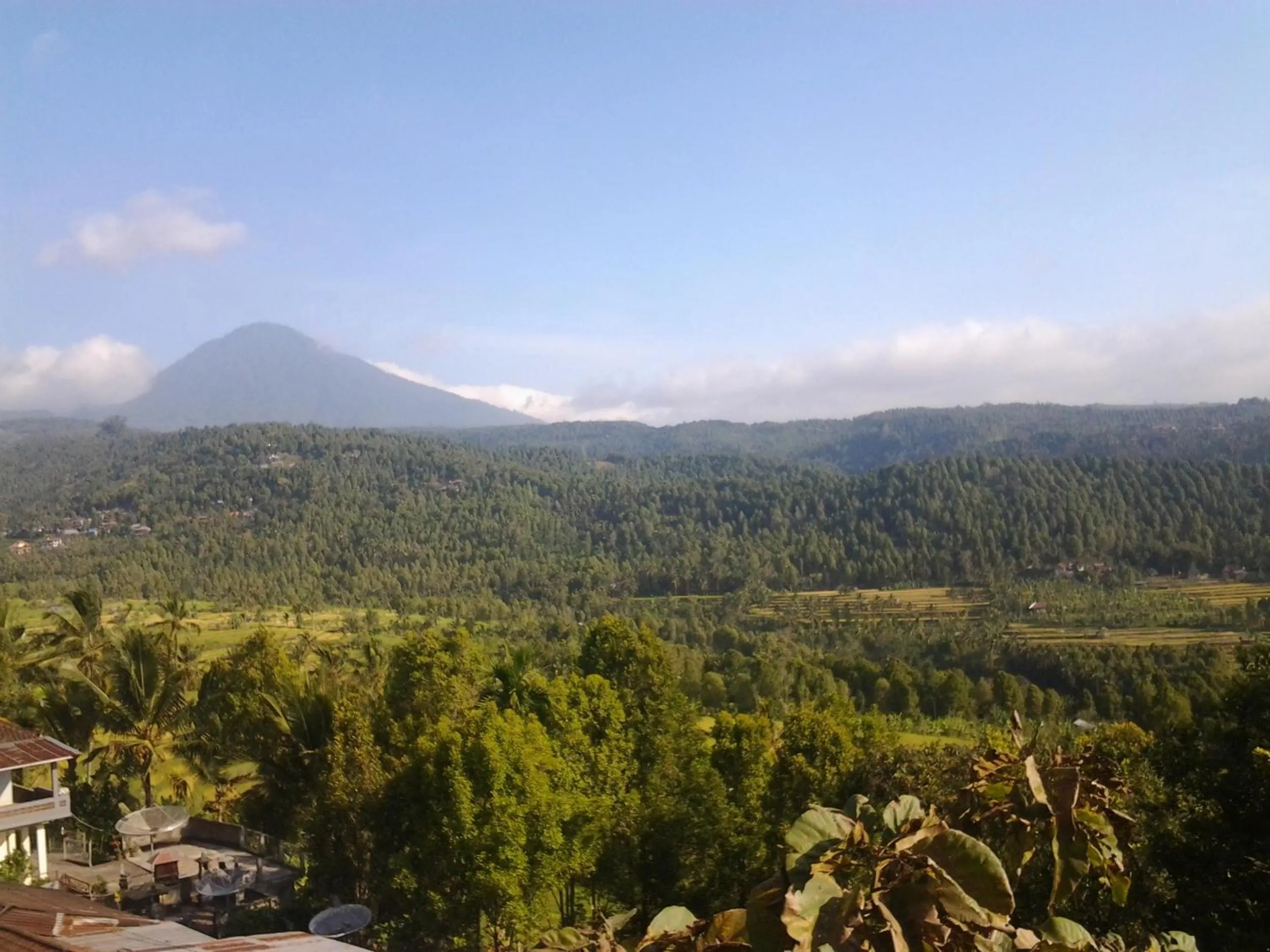 View (from property/room) in Bali Rahayu Homestay