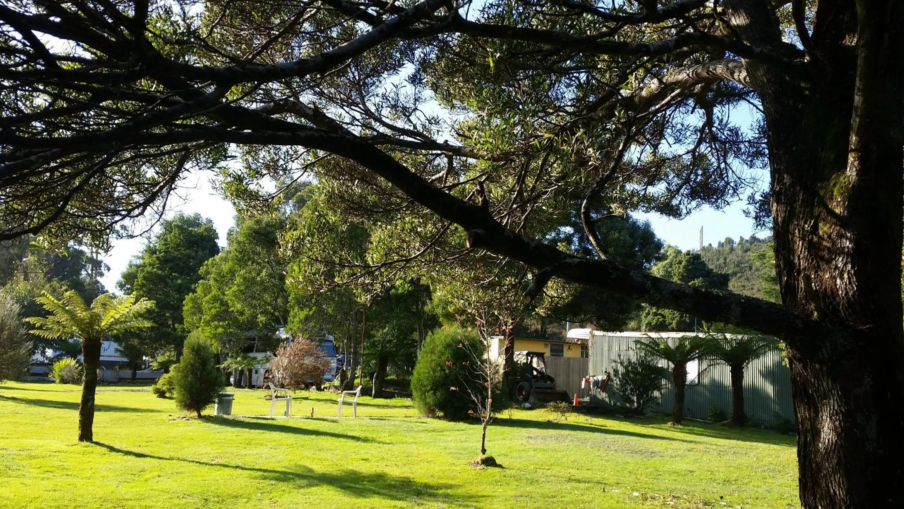 Garden in Zeehan Bush Camp
