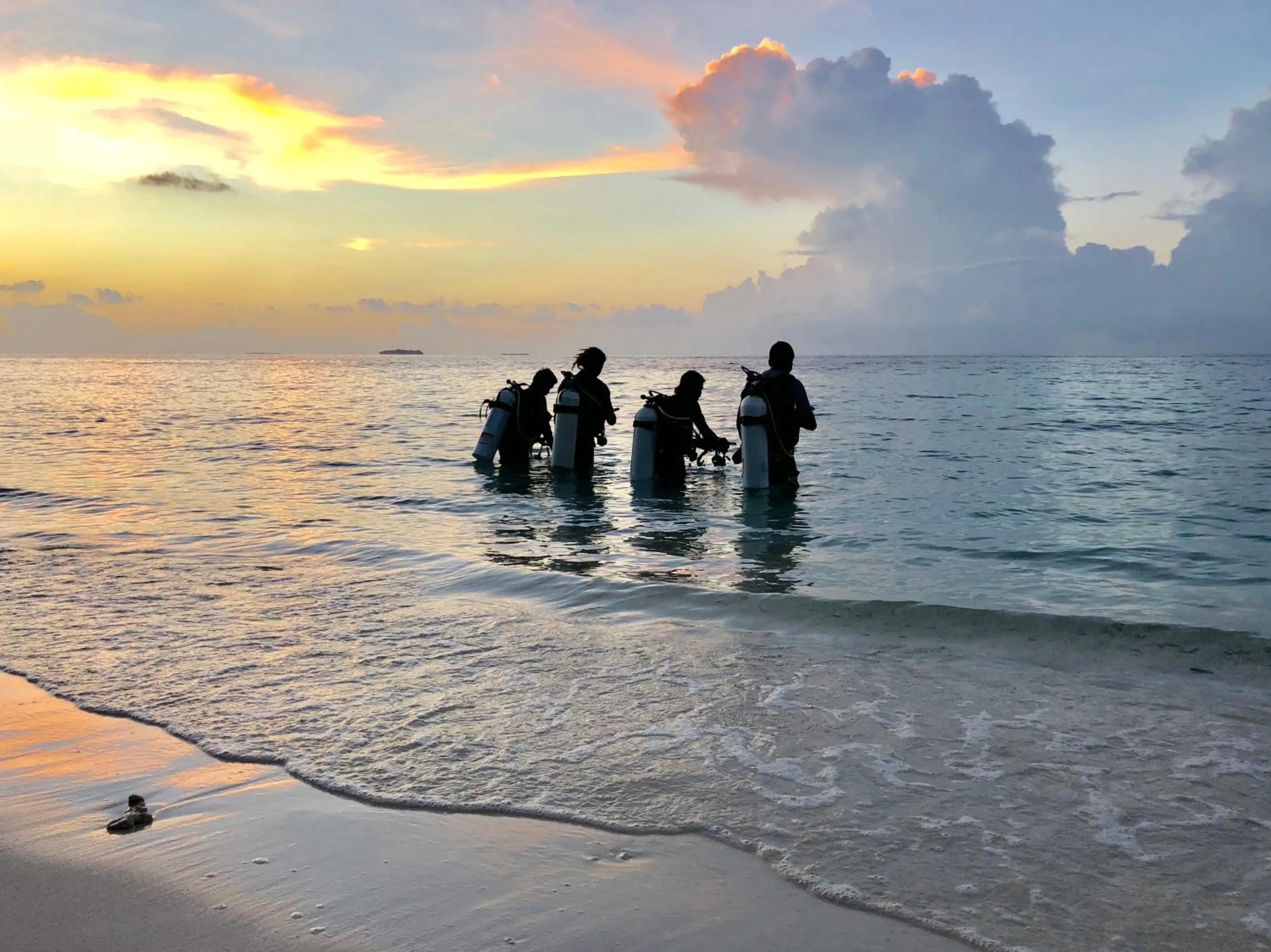 Diving in Manta Reserve