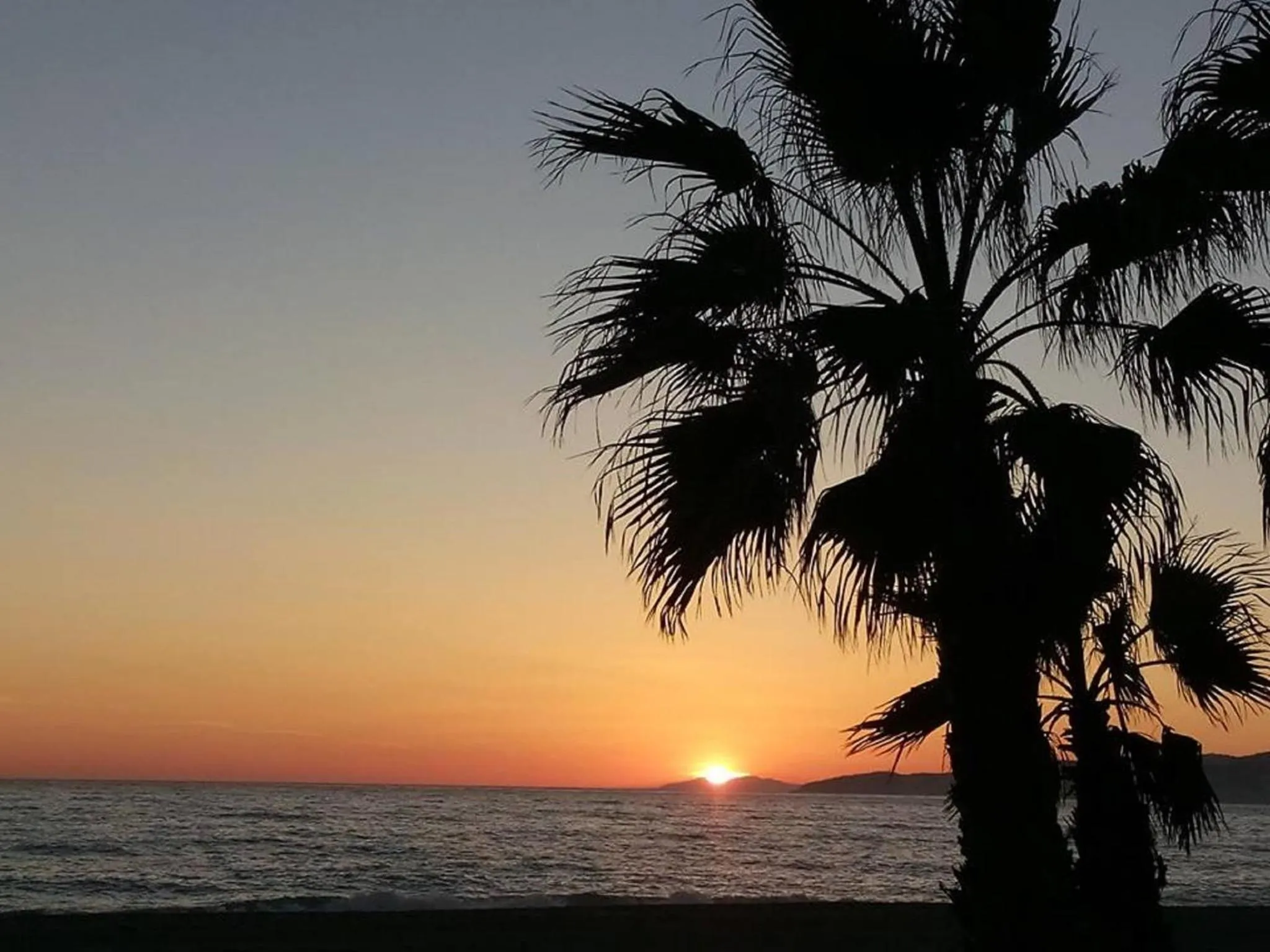 Beach in Hotel Avenida Tropical by Bossh! Hotels