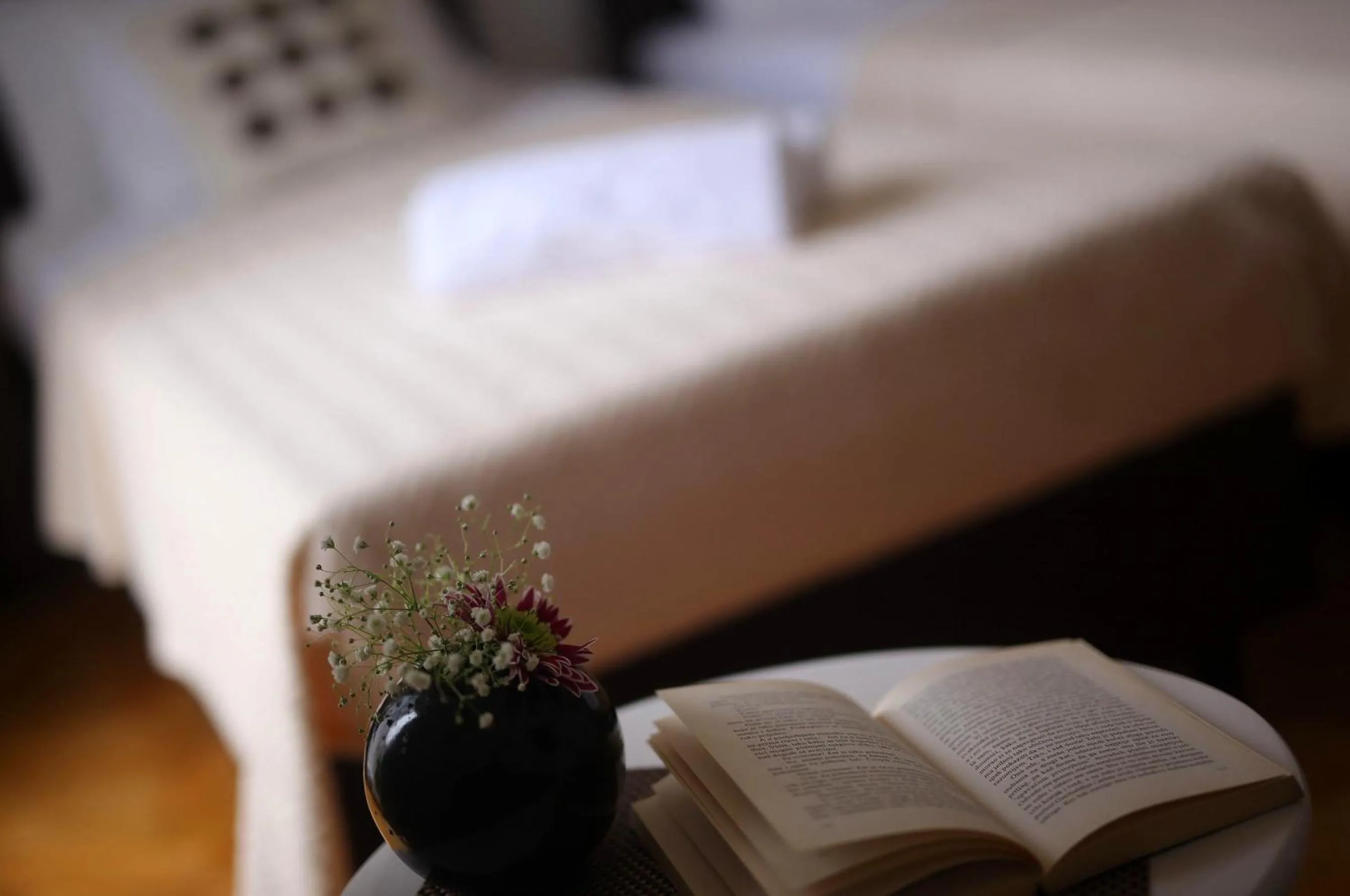 Bed in Rooms Tisa Old Town