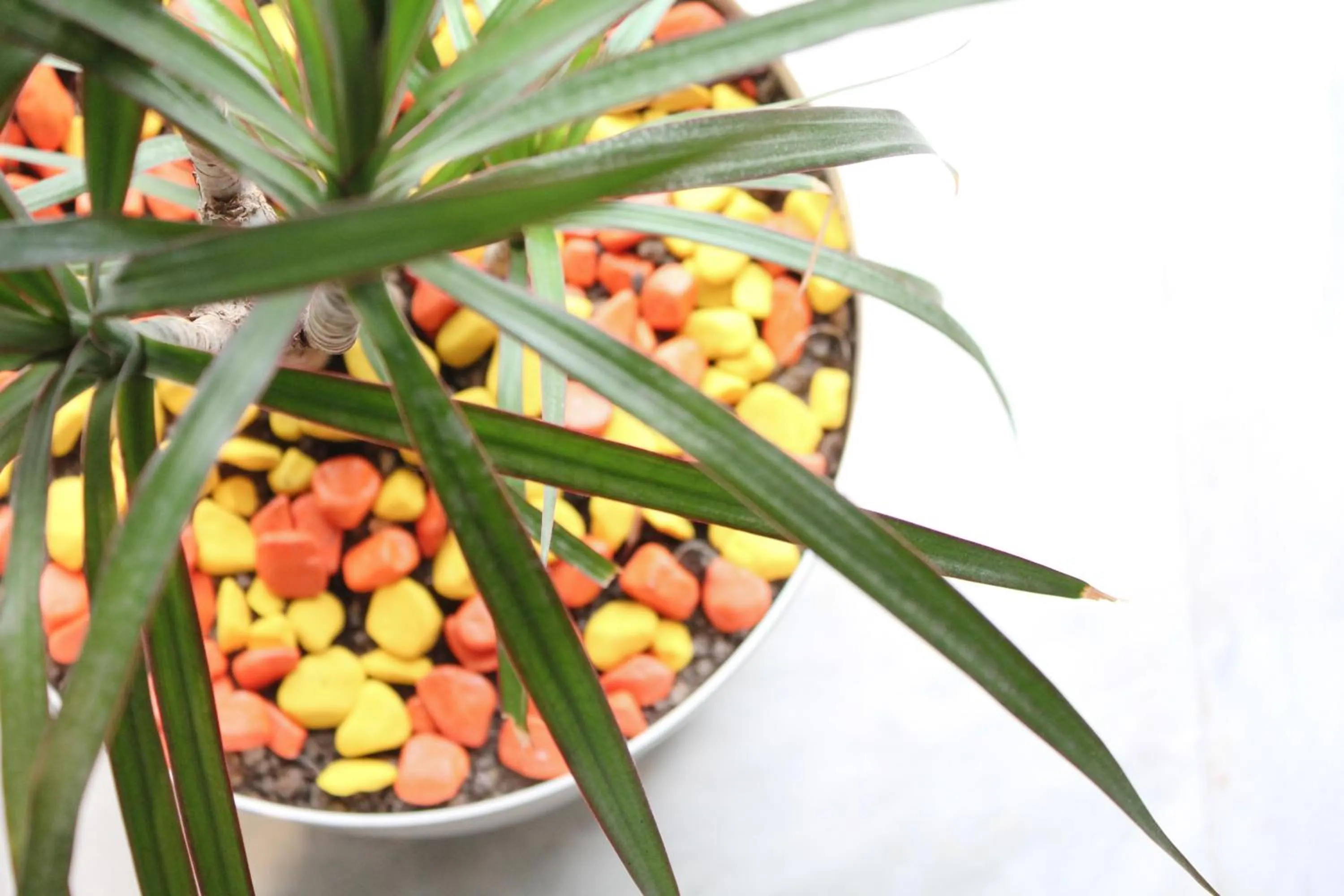 View (from property/room) in Hotel Vila Verde City Center