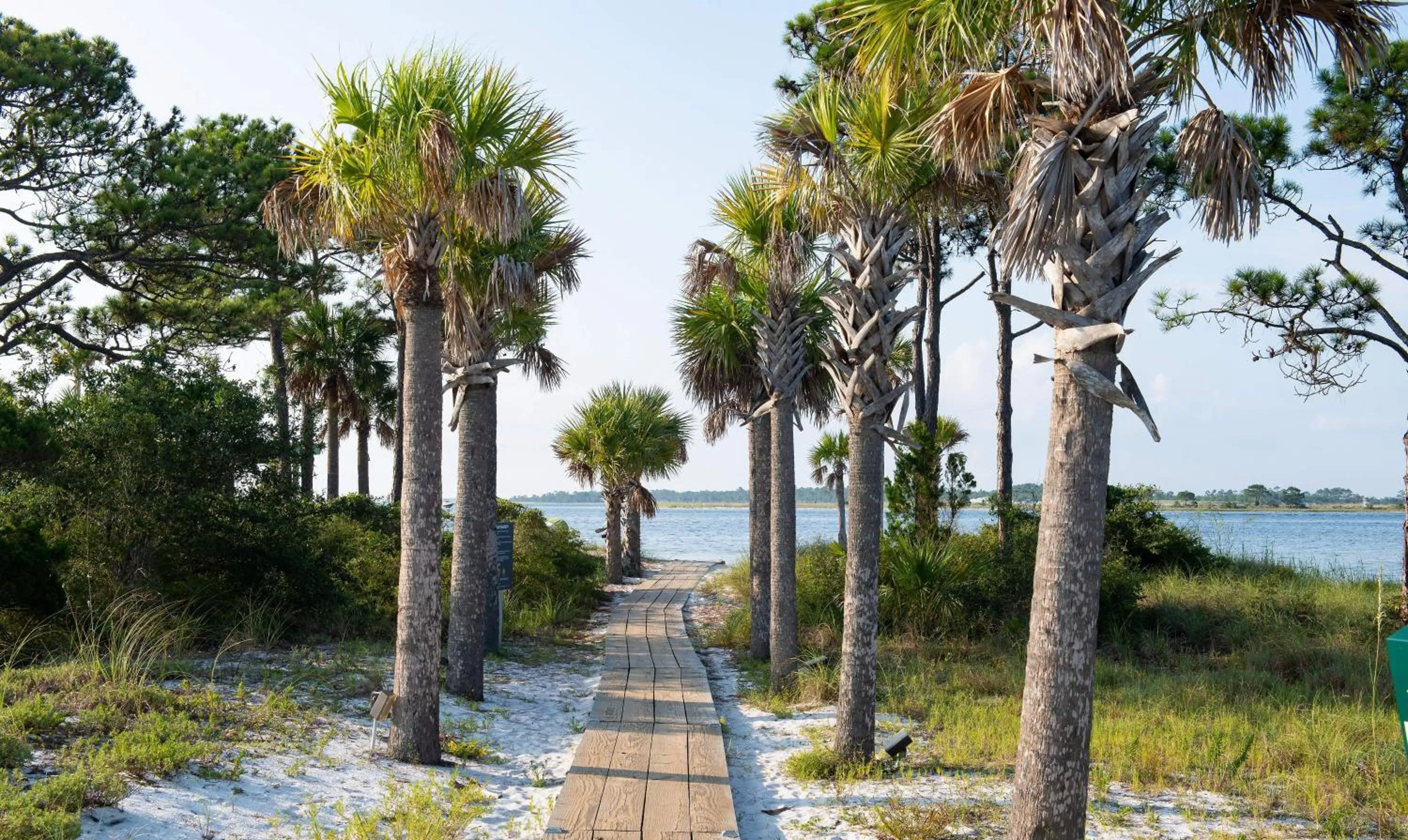 Beach in Hilton Vacation Club Bayside Resort Panama City Beach