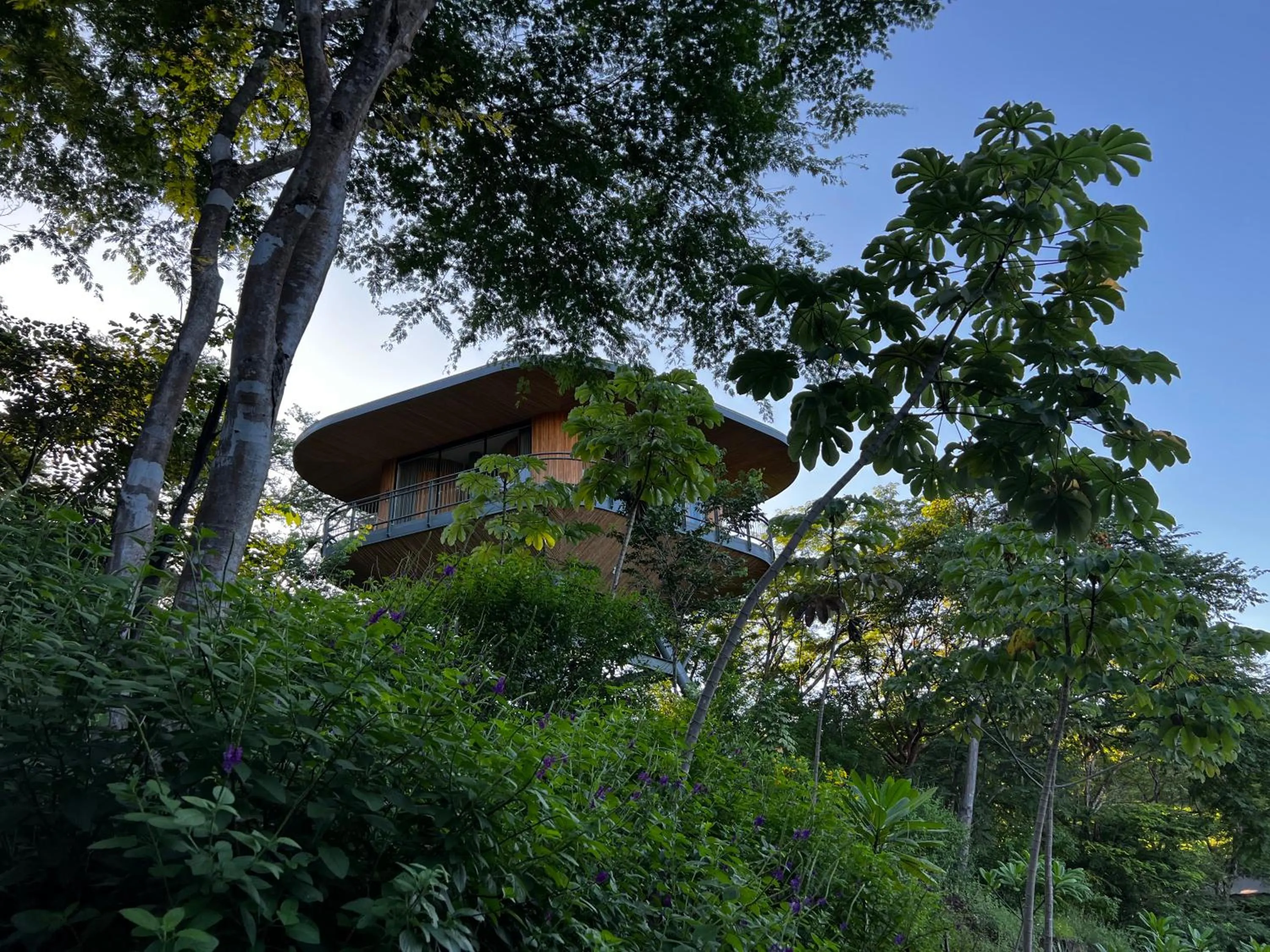 Hiking in Suitree Experience Hotel