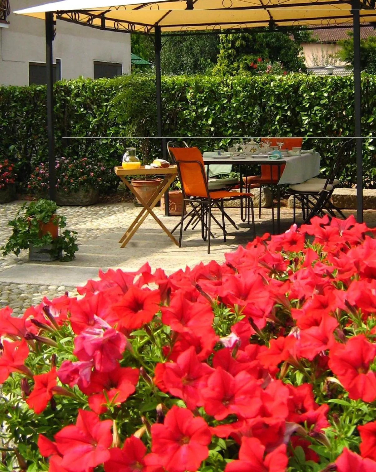 Garden in B&B Casa Dolce Casa