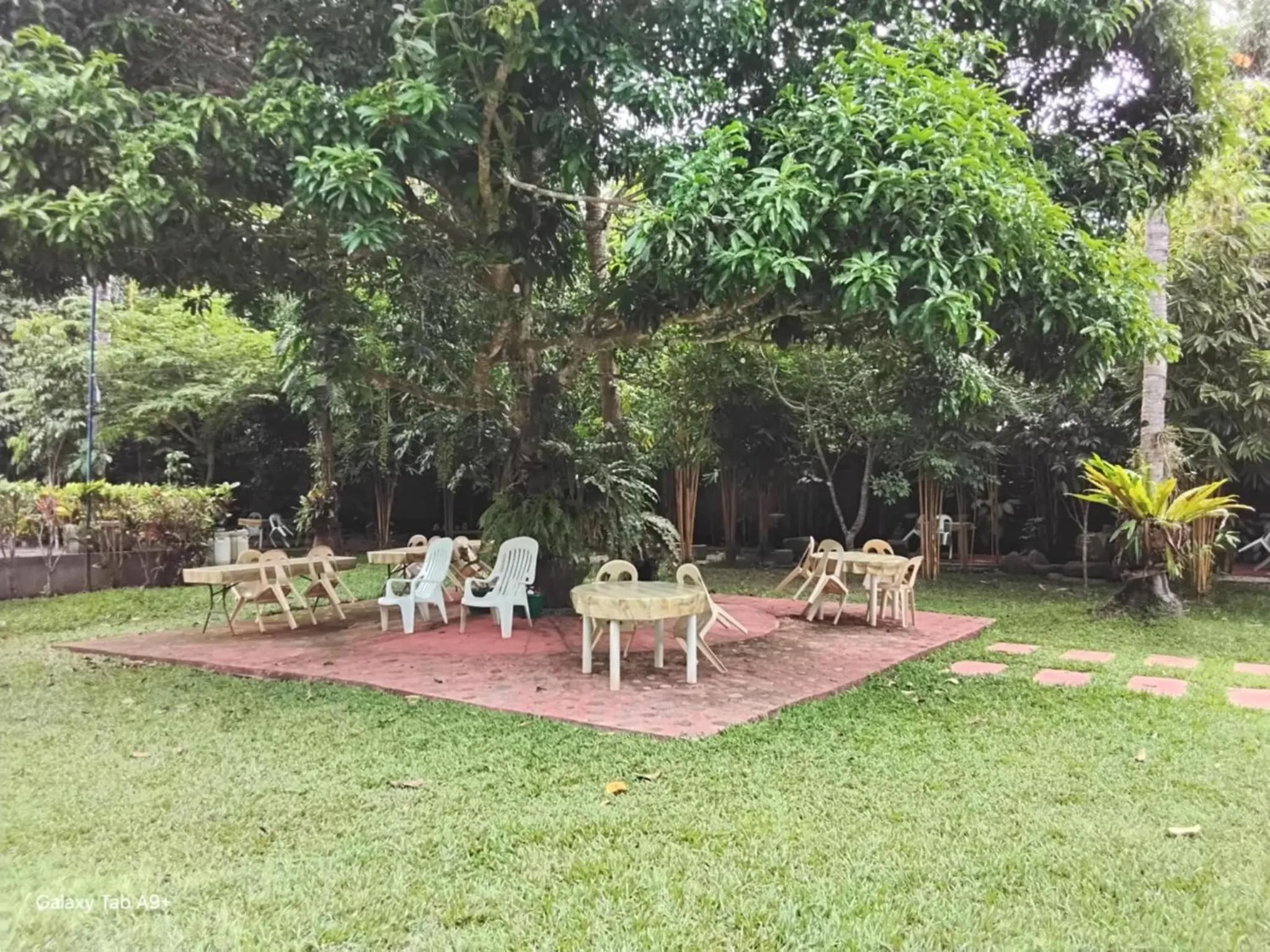 Garden in Camiguin Lanzones Resort