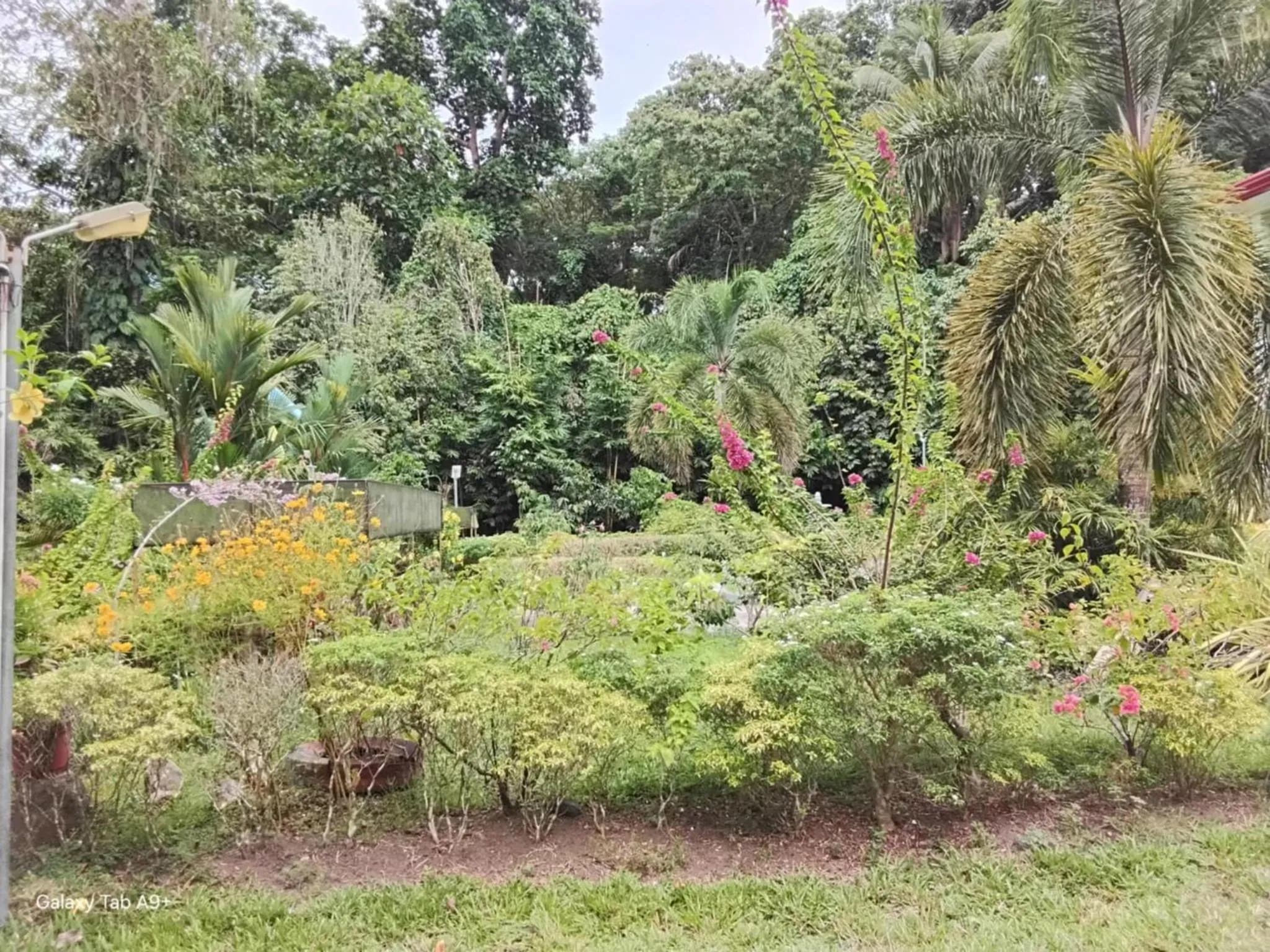 Property building in Camiguin Lanzones Resort