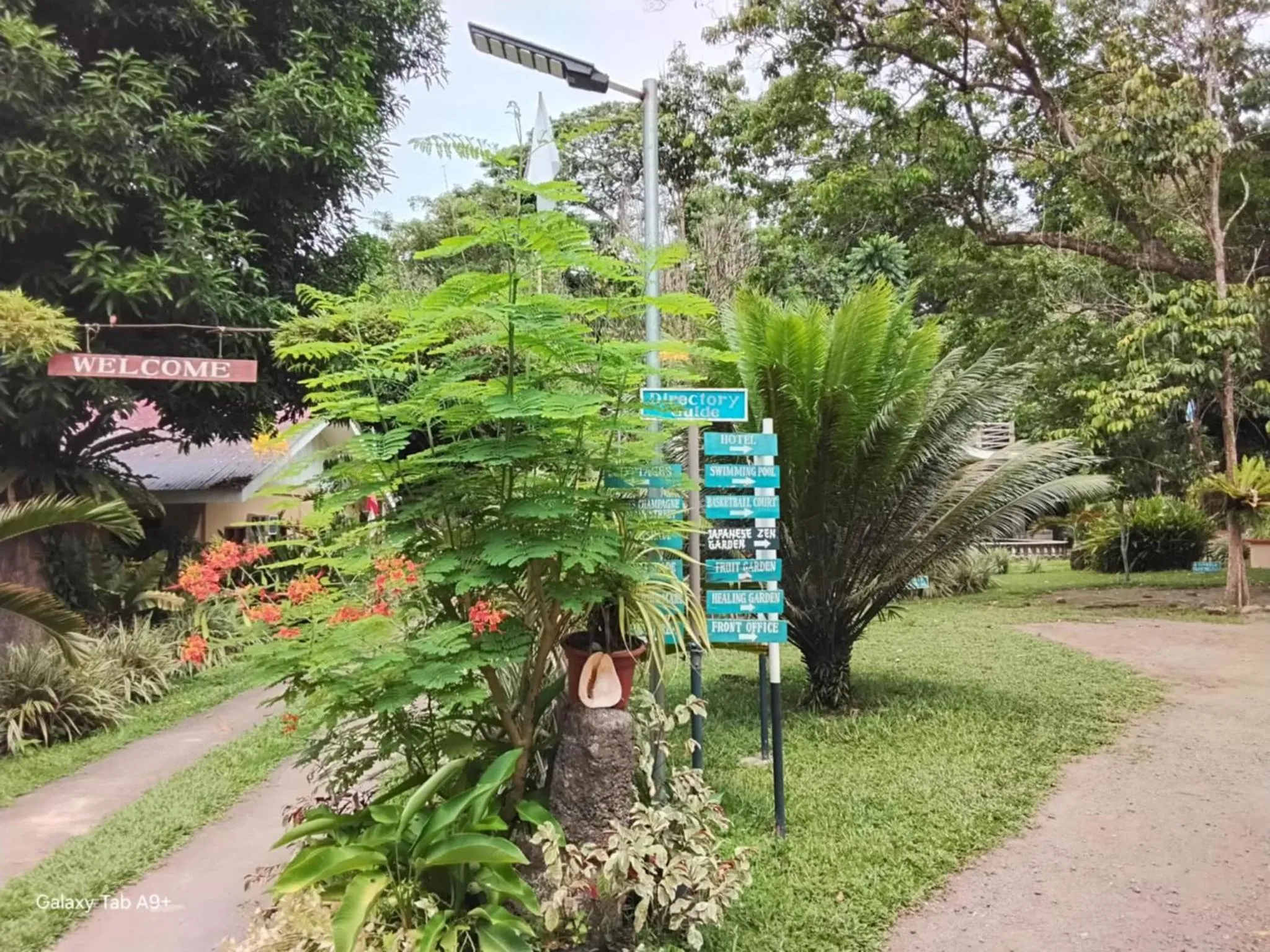 Garden in Camiguin Lanzones Resort