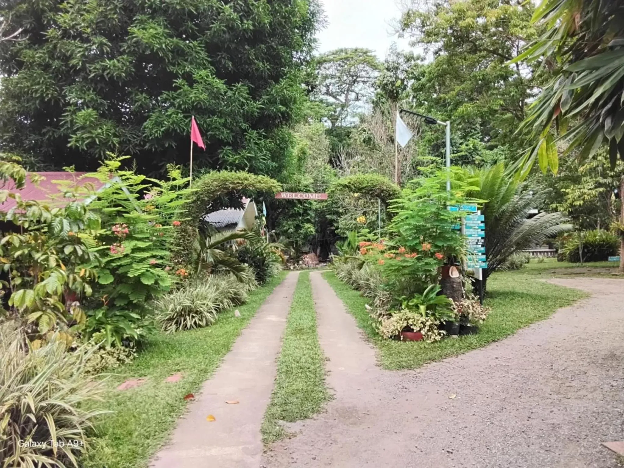 Natural landscape in Camiguin Lanzones Resort