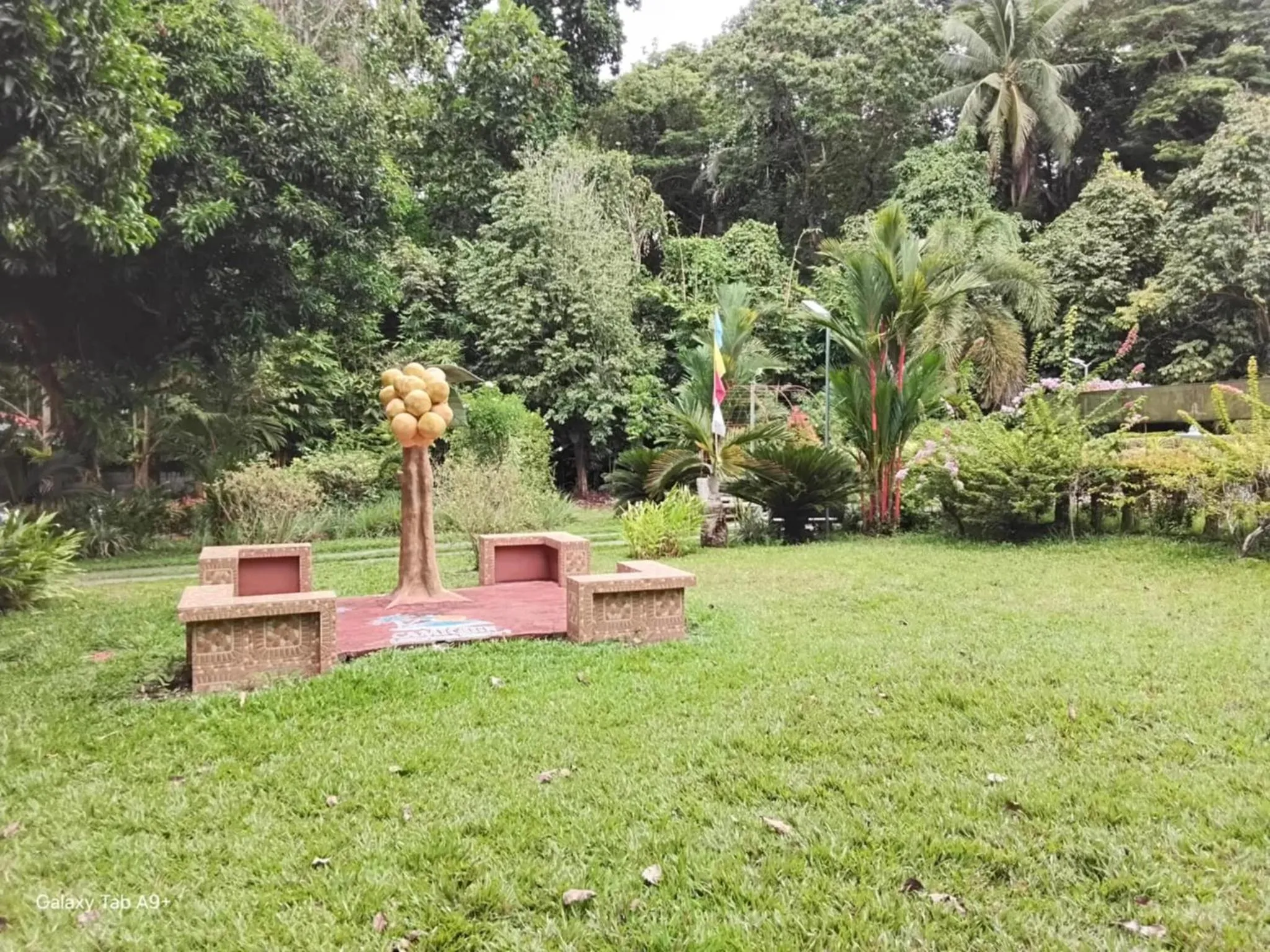Natural landscape in Camiguin Lanzones Resort