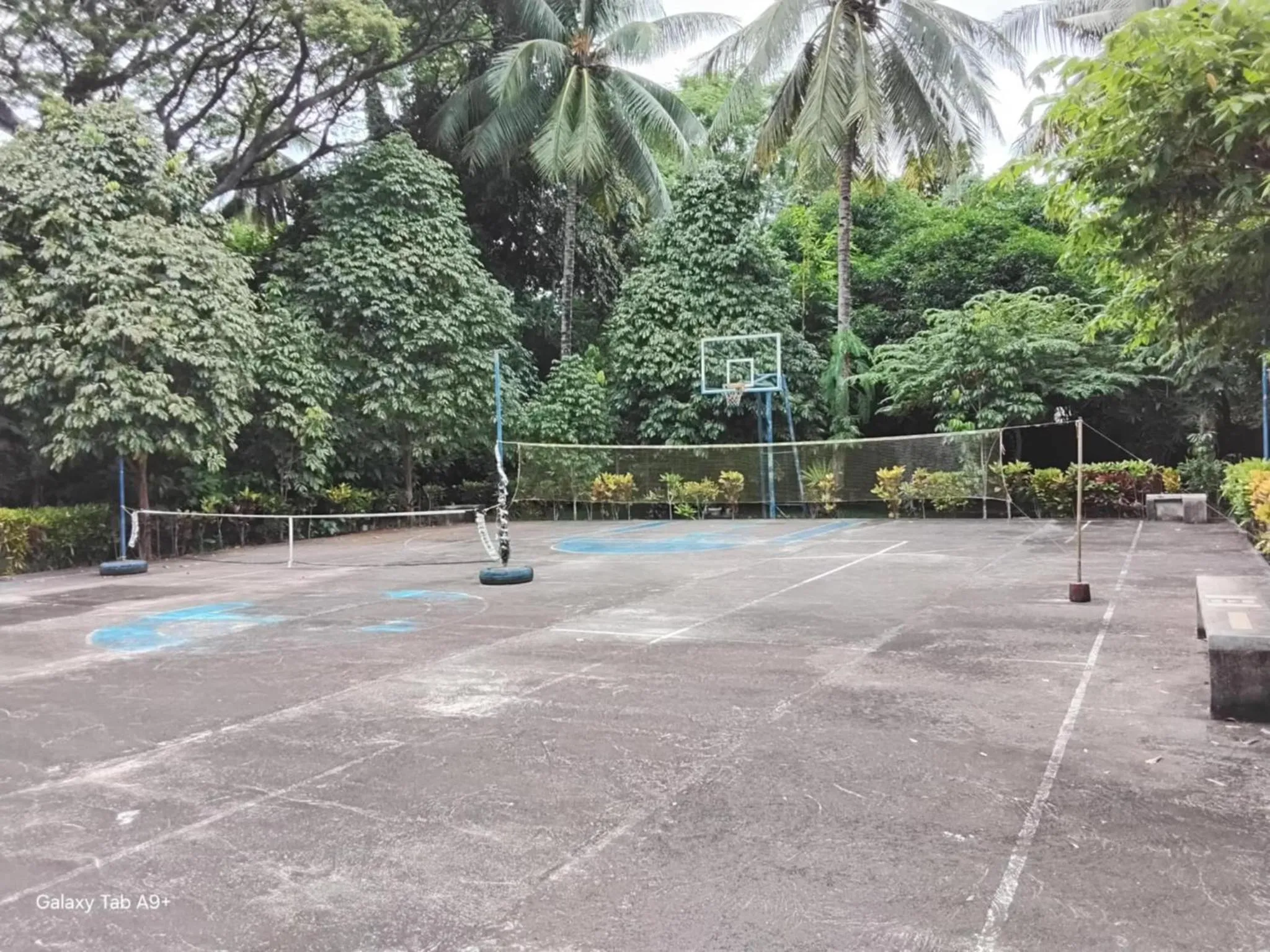 Tennis court in Camiguin Lanzones Resort