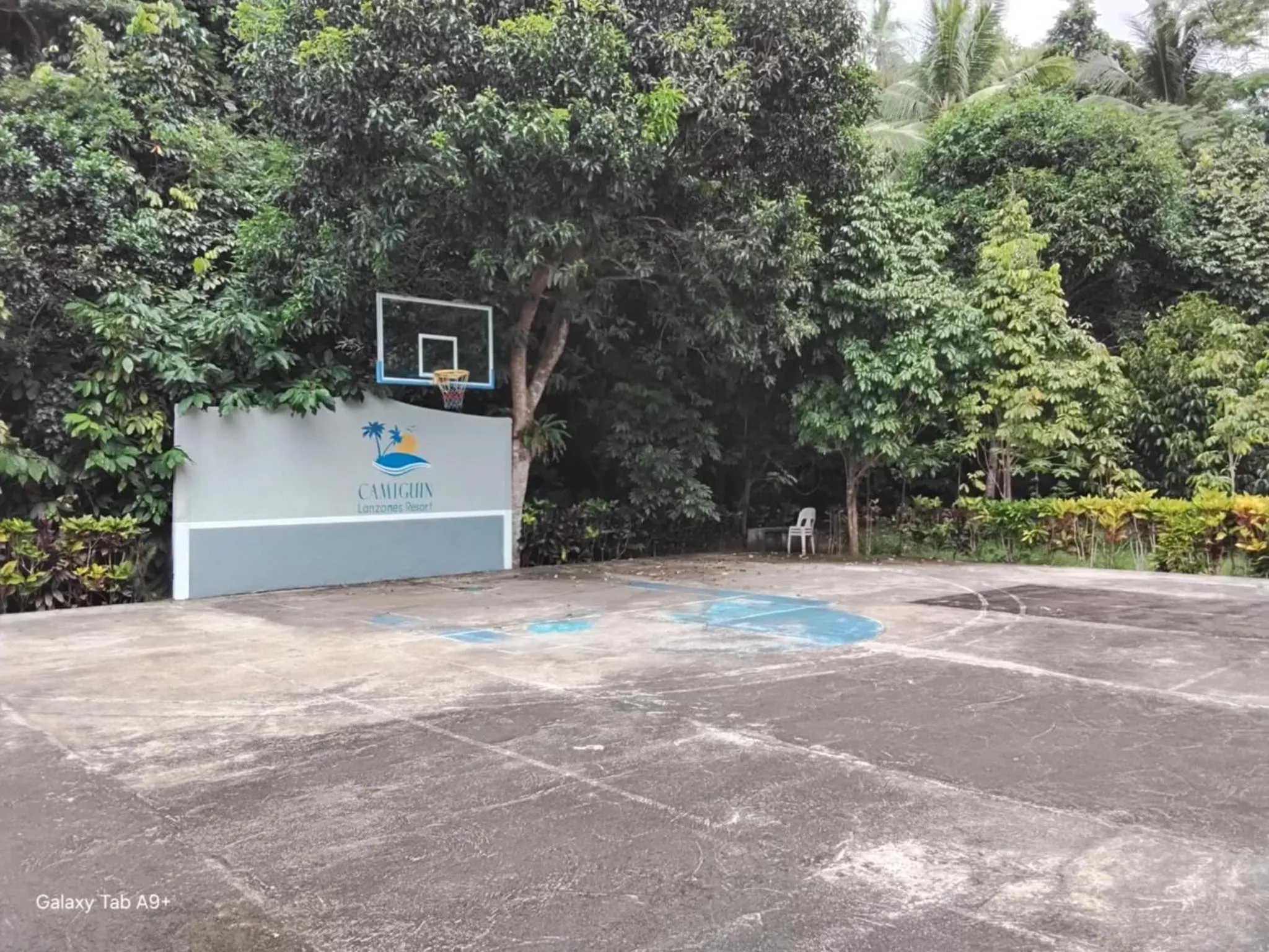 Garden in Camiguin Lanzones Resort