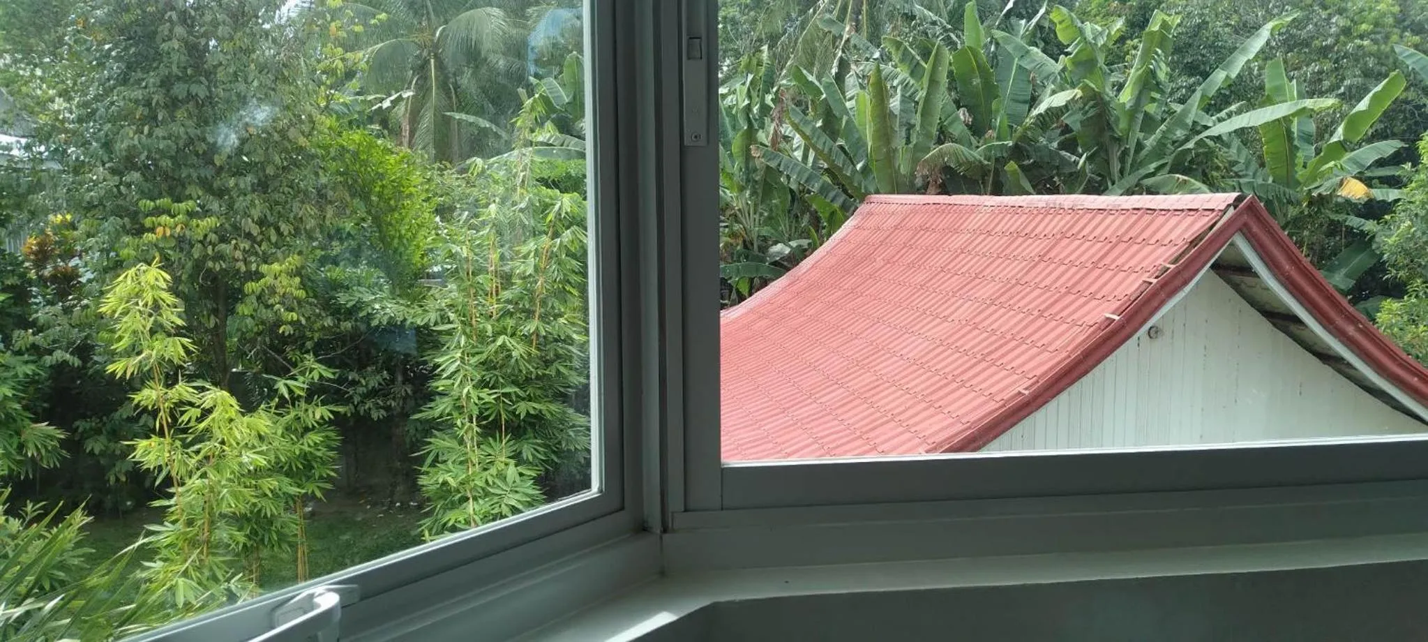 Garden in Camiguin Lanzones Resort