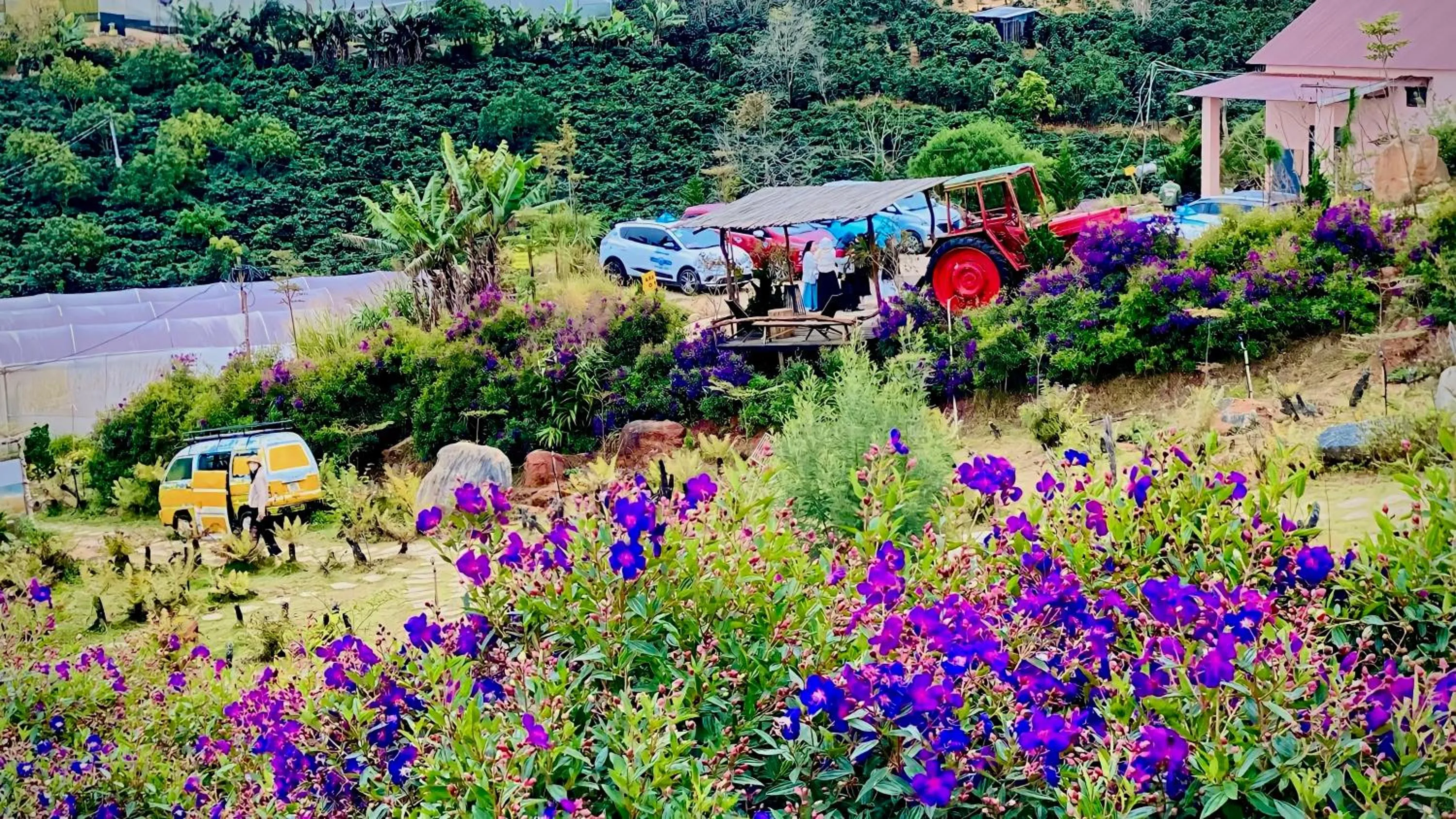 Neighbourhood in Tường Vy Dalat Central