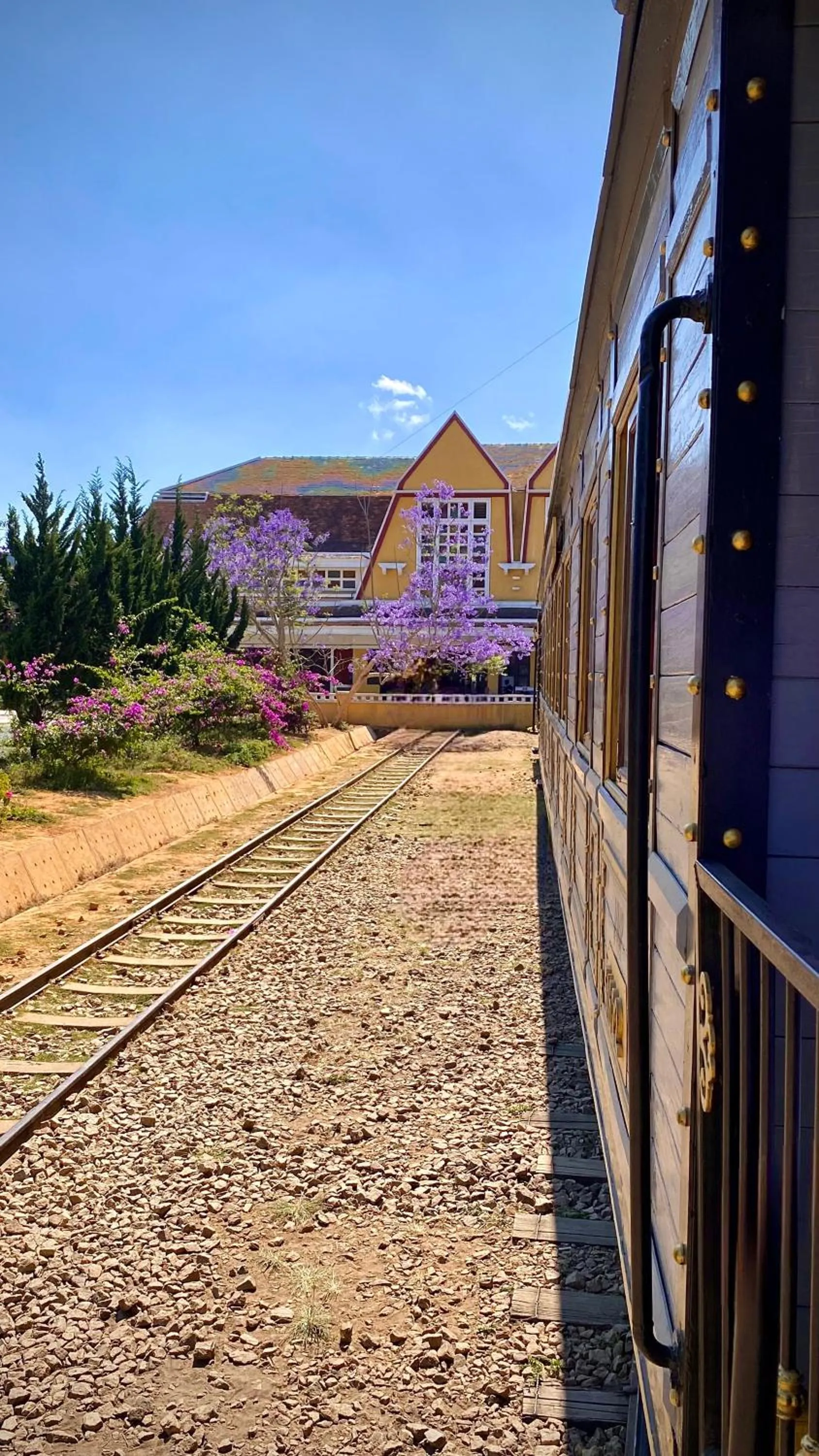 Day in Tường Vy Dalat Central