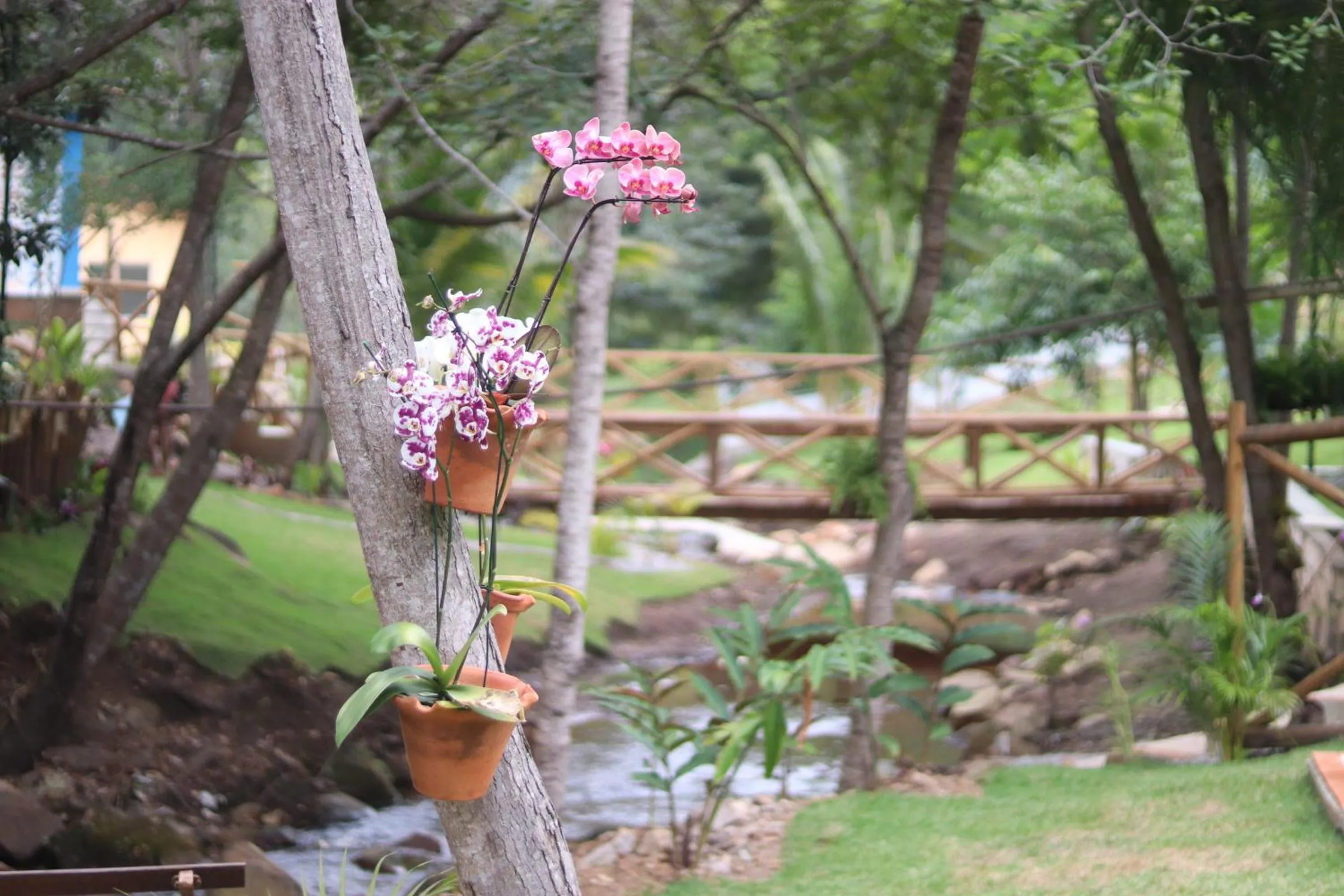 Garden in Hotel Villa Babaçu