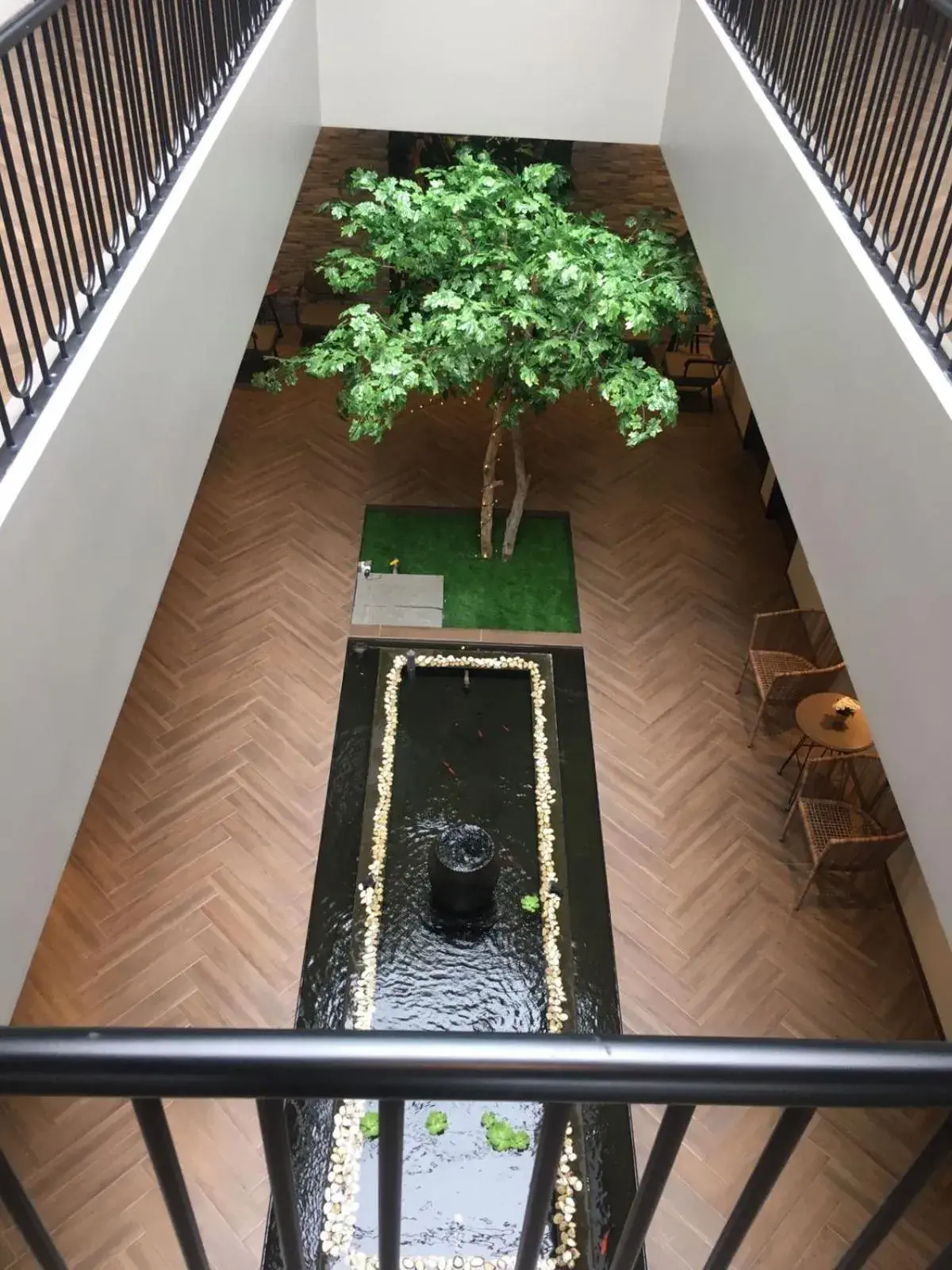 Garden view in Esma Family GuestHouse Garden view in Esma Family GuestHouse