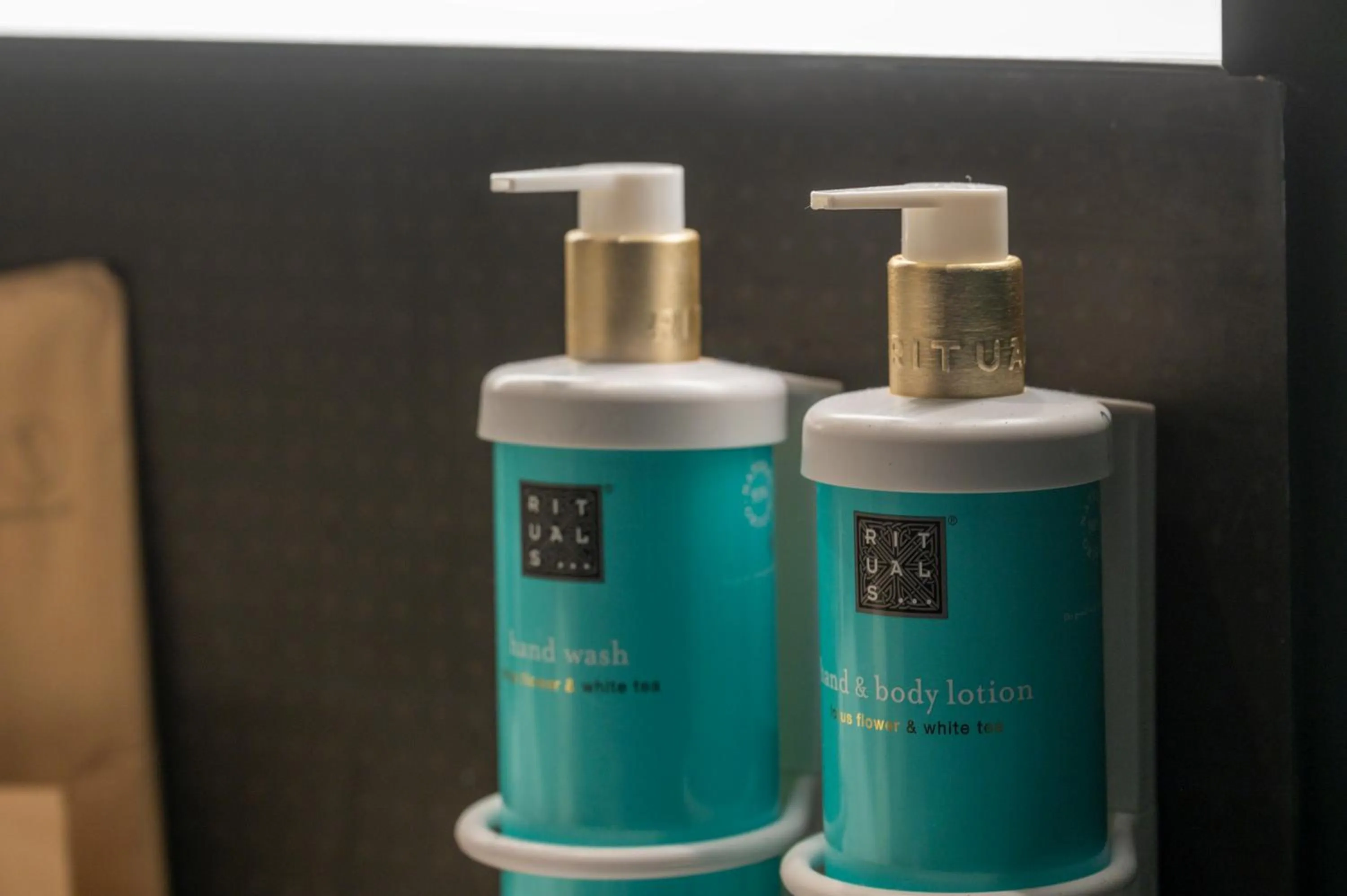 Novotel Valencia Lavant