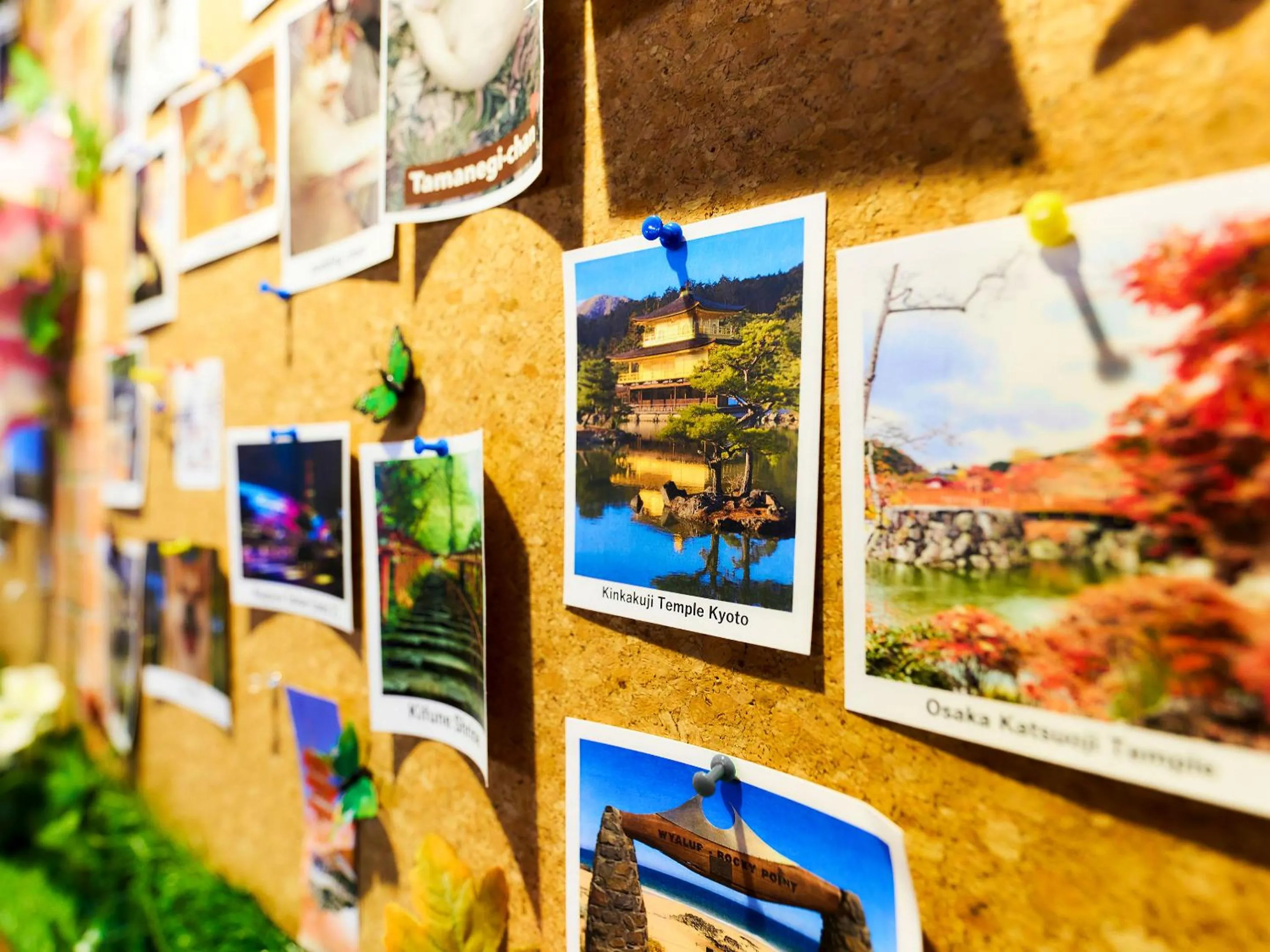 Decorative detail in Hotel Meldia Kyotoshijoomiya