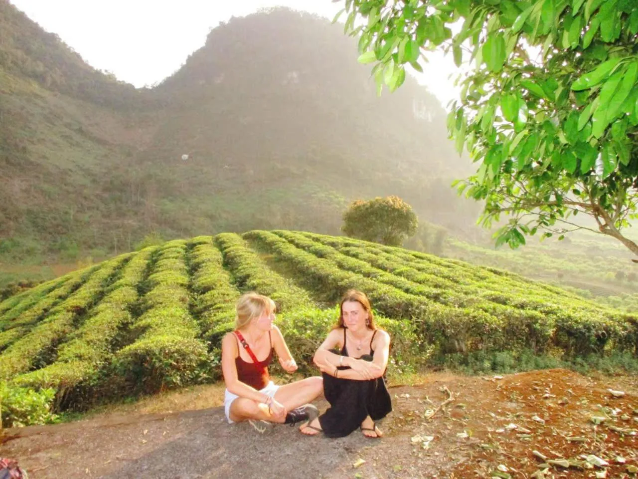 Natural landscape in Retreat Home Bản Dọi Mộc Châu