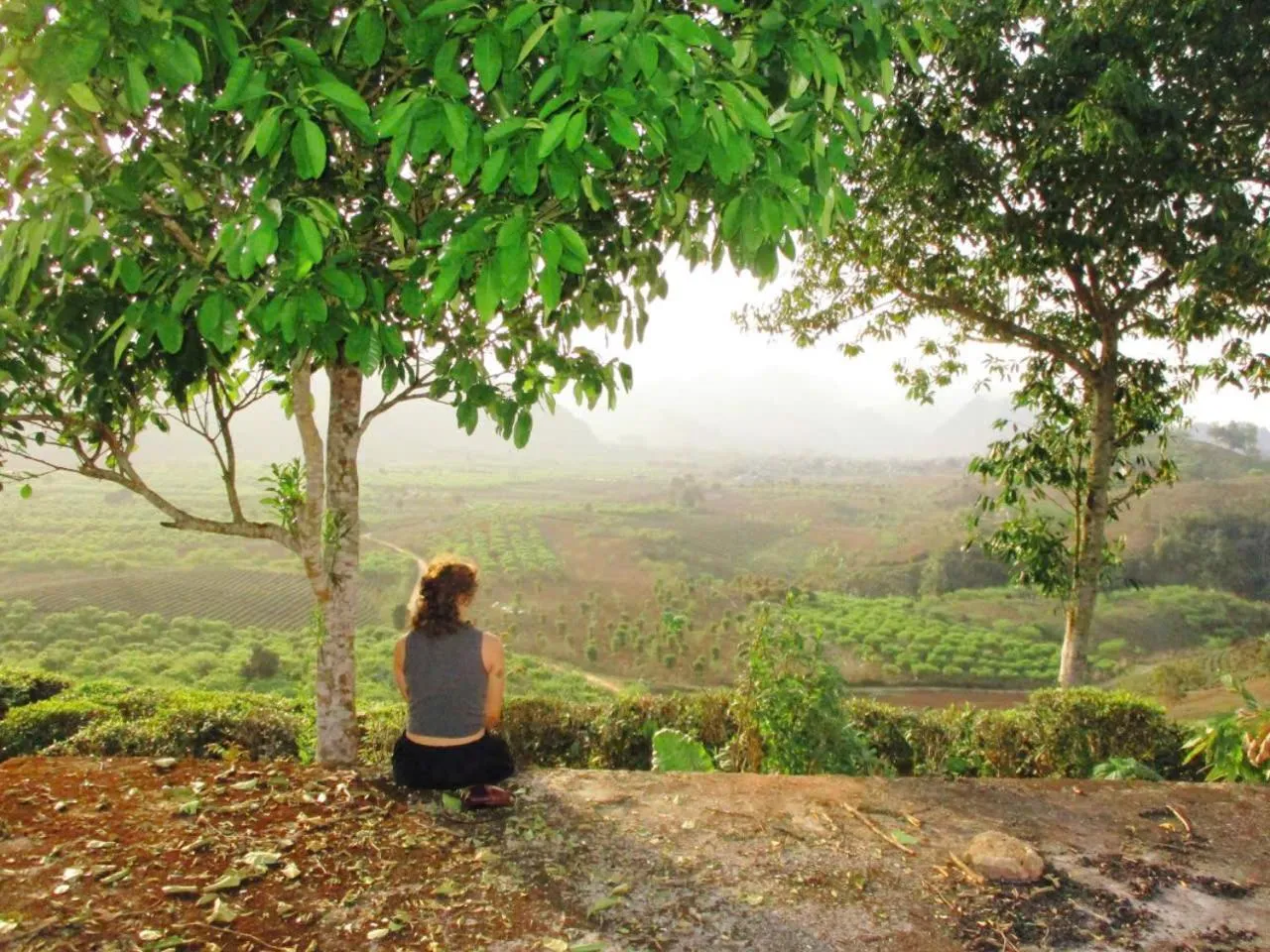 Natural landscape in Retreat Home Bản Dọi Mộc Châu