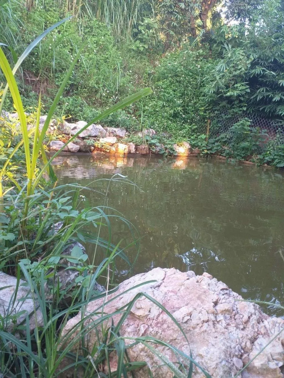 Natural landscape in Retreat Home Bản Dọi Mộc Châu