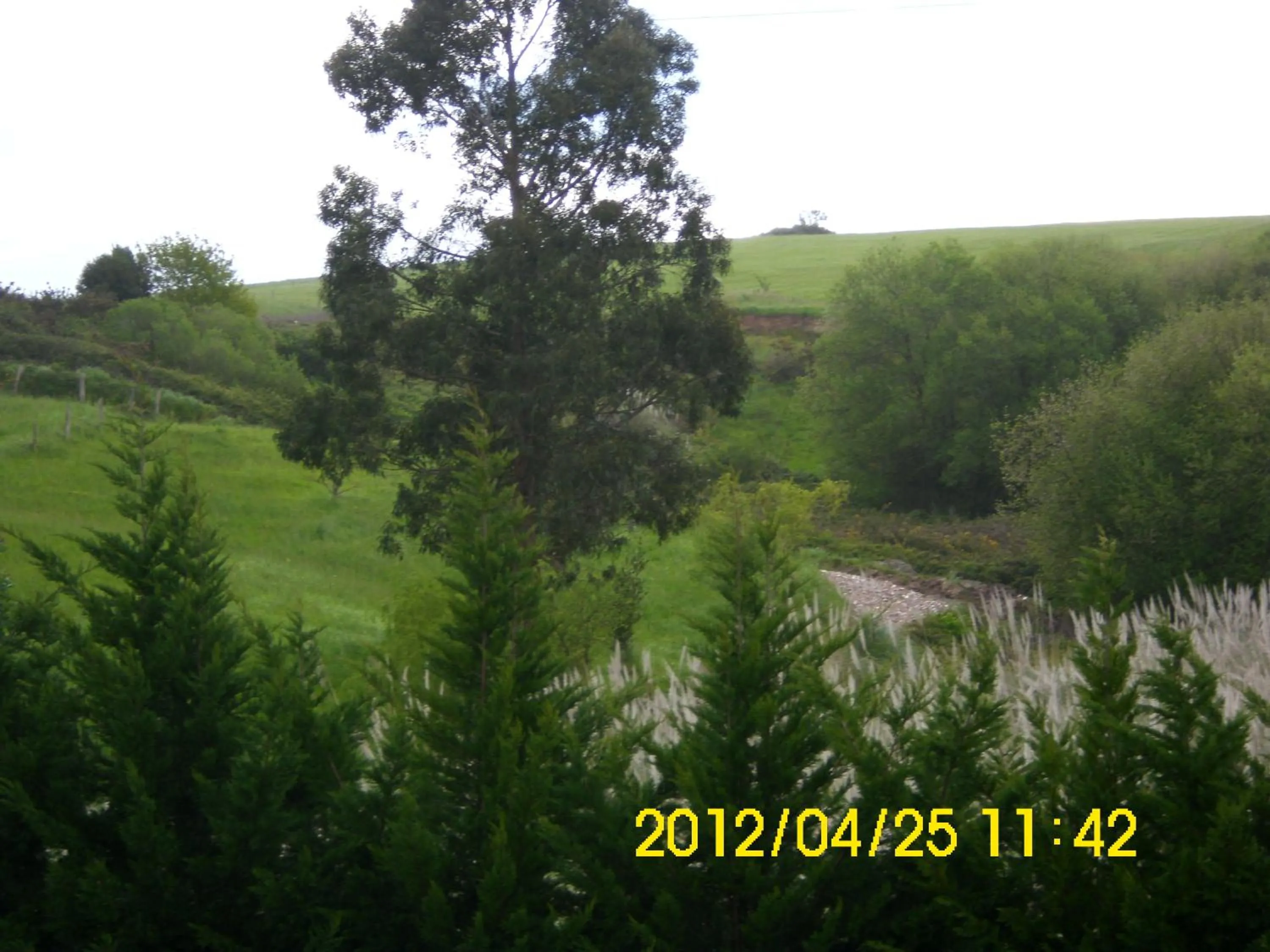 Day in Hotel San Juan