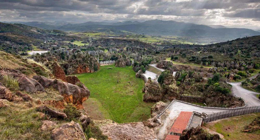 Animals in Hotel San Juan