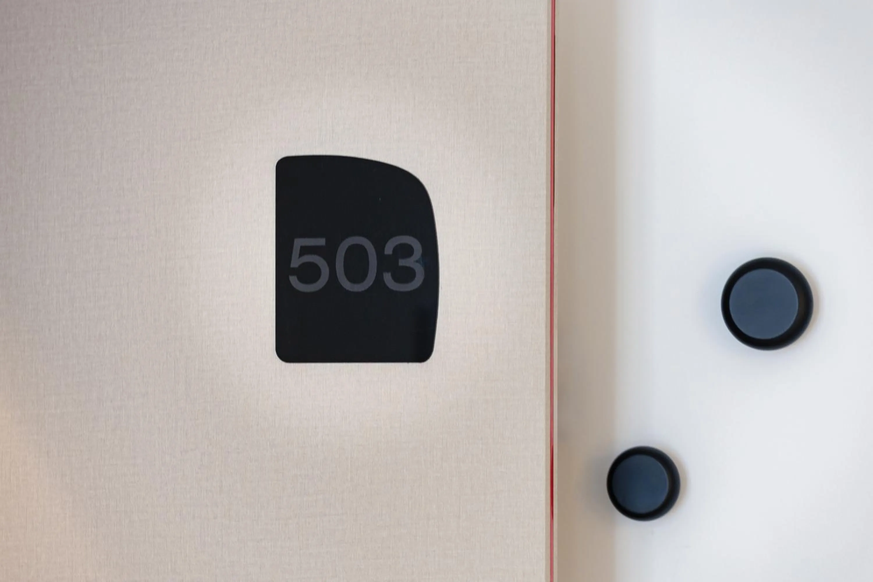 Decorative detail in La Suite